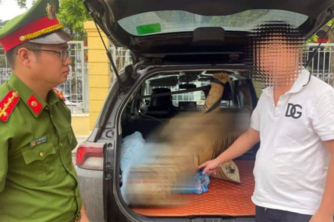 Khởi tố t&agrave;i xế giấu bộ da hổ nhồi b&ocirc;ng trong xe &ocirc; t&ocirc;- Ảnh 1.
