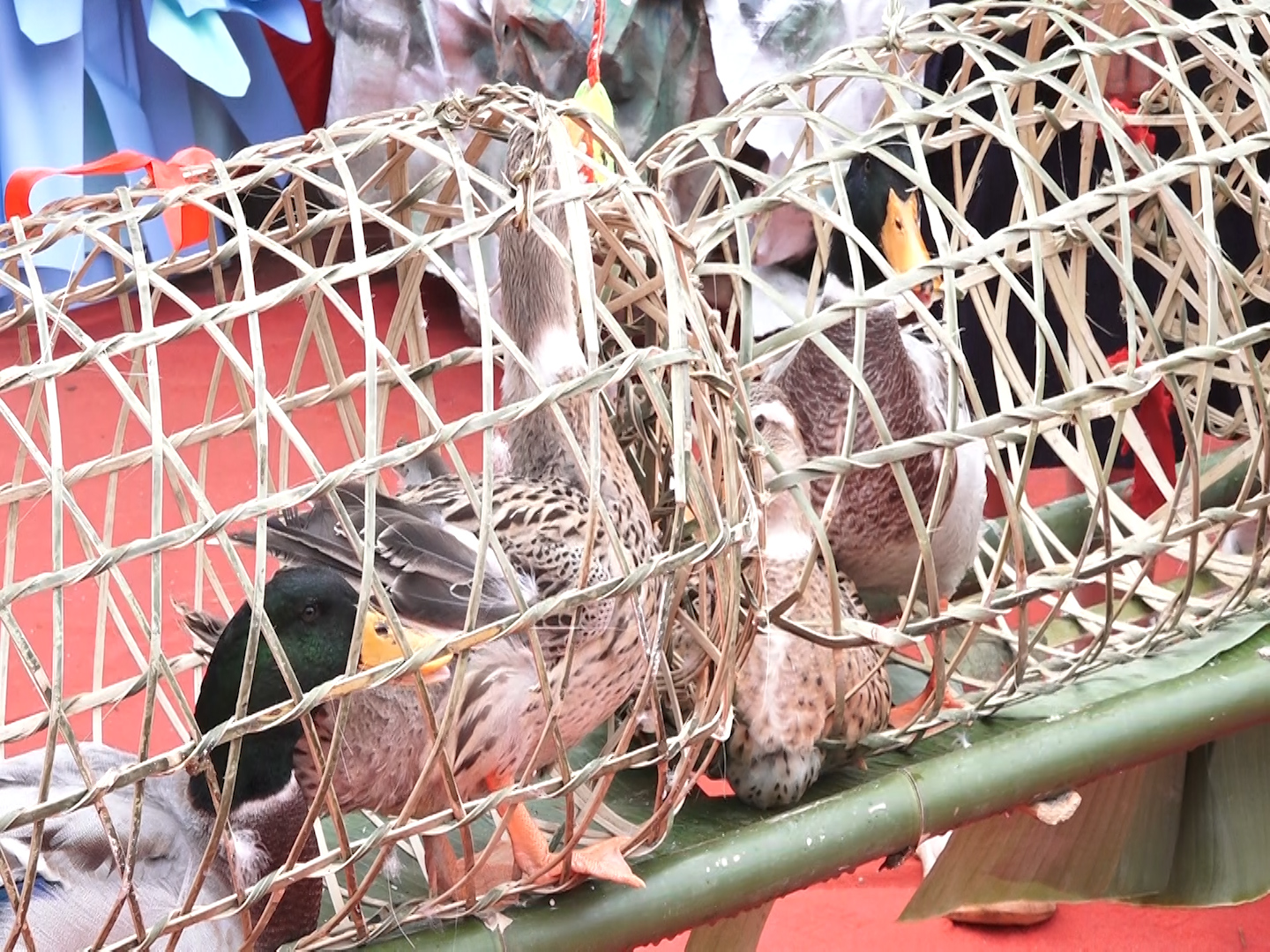 M&oacute;n ăn nhất định c&oacute; trong dịp rằm th&aacute;ng Bảy của người d&acirc;n tộc thiểu số ở Y&ecirc;n B&aacute;i - Ảnh 2.