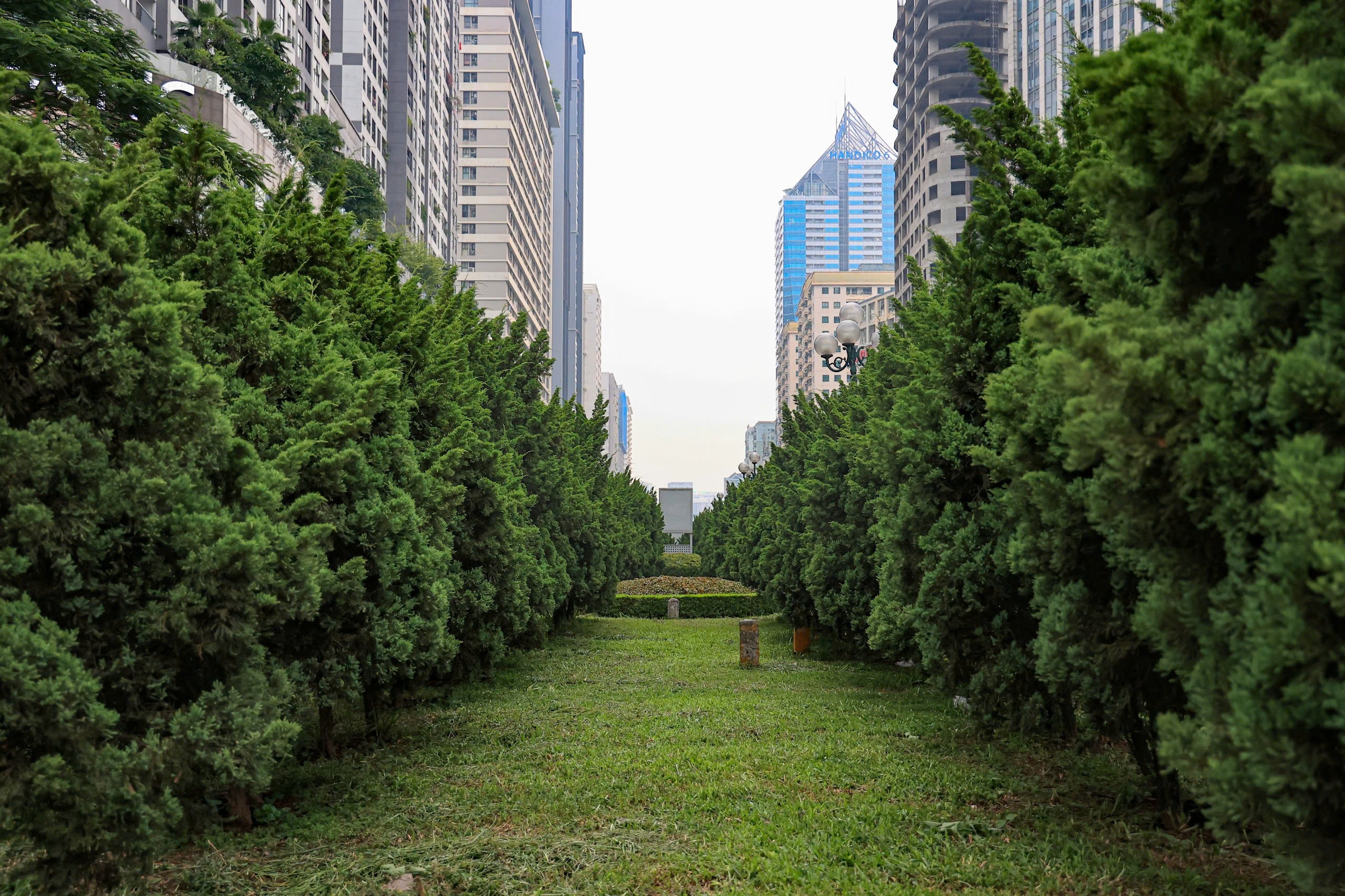 Hiện trạng c&aacute;c tuyến đường sắp được H&agrave; Nội chi cả trăm tỷ đồng x&eacute;n vỉa h&egrave;, dải ph&acirc;n c&aacute;ch- Ảnh 6.