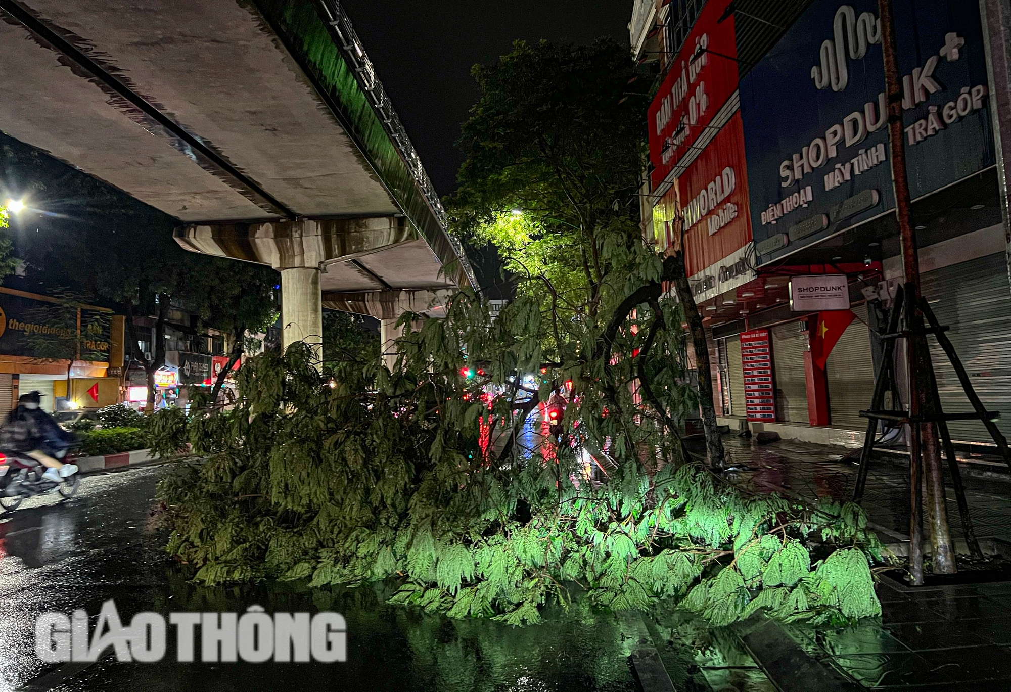 Đường ngập, c&acirc;y đổ la liệt sau trận mưa lớn ở H&agrave; Nội- Ảnh 3.