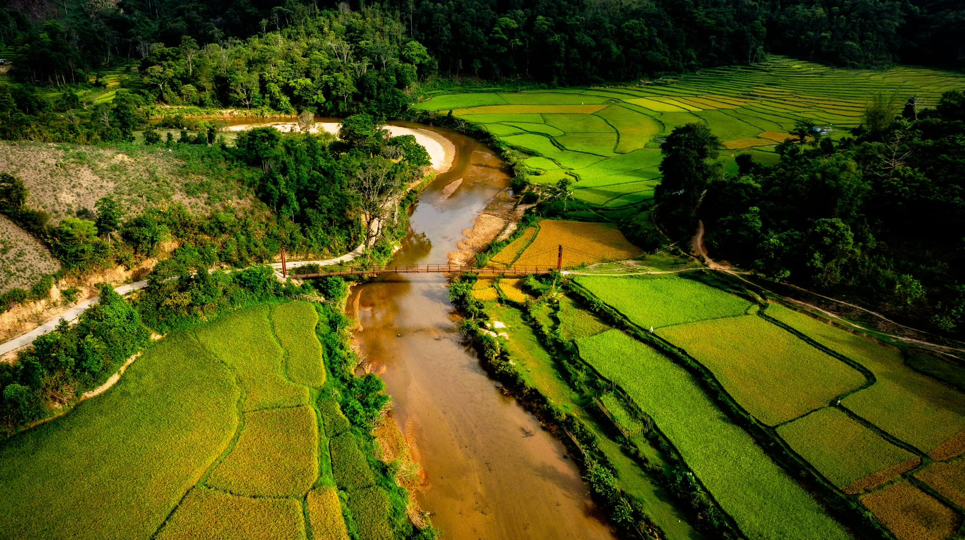 M&ugrave;a v&agrave;ng tr&ecirc;n cao nguy&ecirc;n Măng Đen- Ảnh 4.