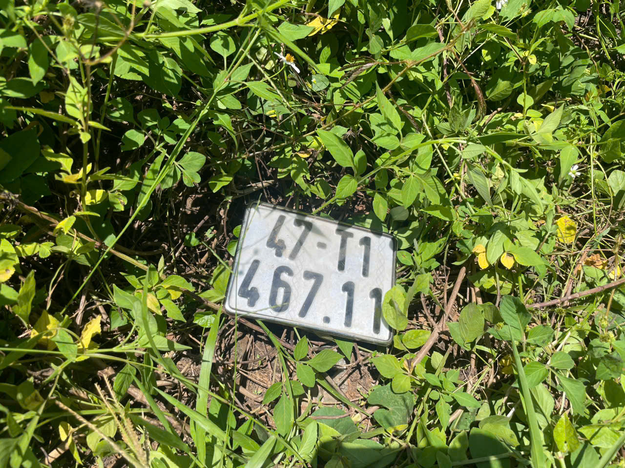 Giả vờ hỏi mua v&agrave;ng, thanh ni&ecirc;n g&acirc;y hai vụ cướp giật t&aacute;o tợn- Ảnh 3.