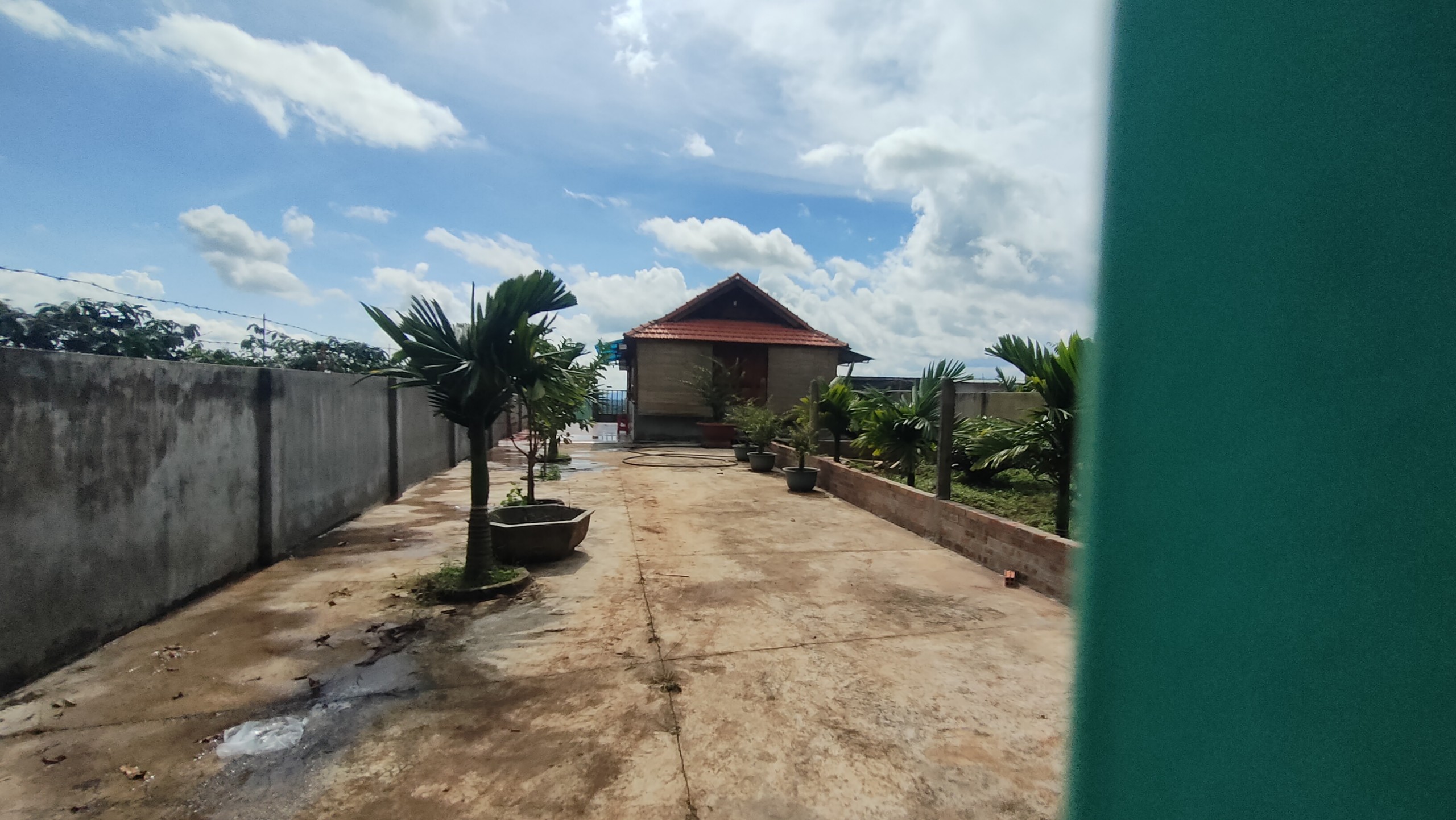 Gia Lai: Bắt sới bạc với 41 đối tượng đang s&aacute;t phạt- Ảnh 1.