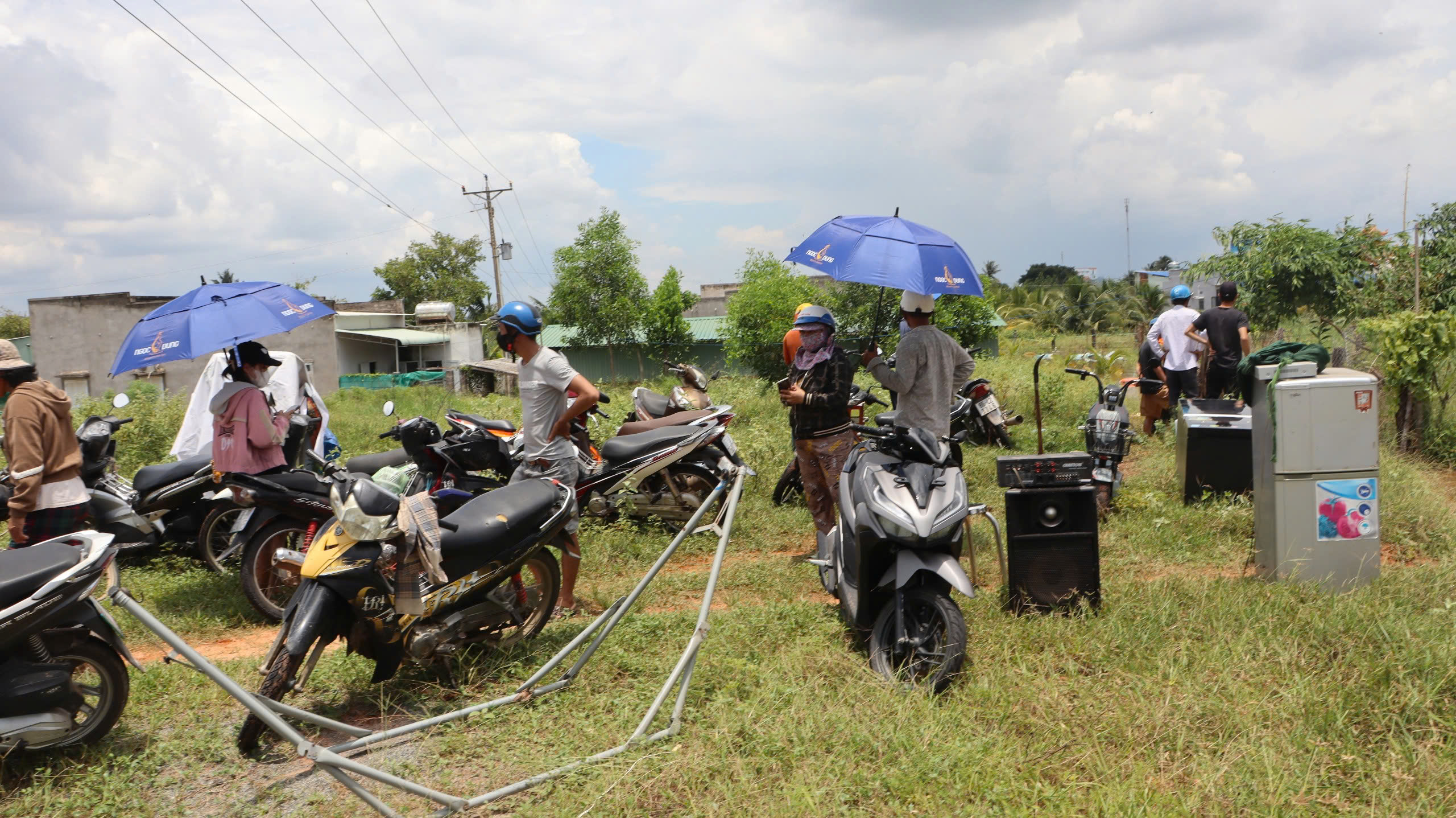 B&igrave;nh Thuận: H&agrave;ng trăm nh&agrave; d&acirc;n, vườn thanh long ch&igrave;m trong biển nước- Ảnh 3.