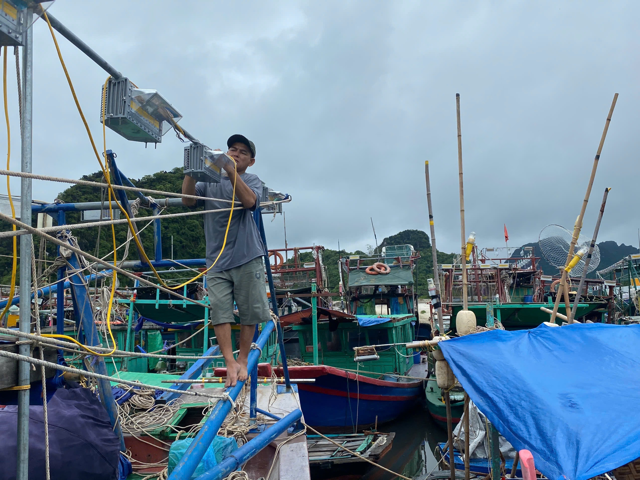 Quảng Ninh x&oacute;a t&agrave;u c&aacute; "3 kh&ocirc;ng"- Ảnh 1.