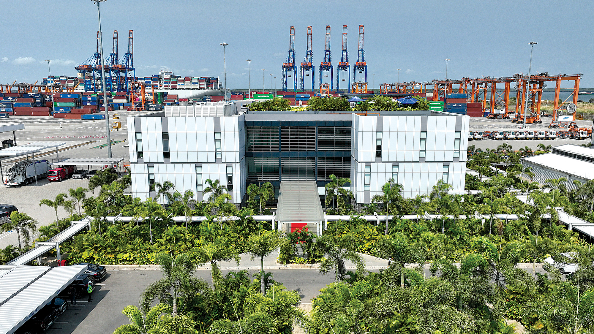 Nhiều doanh nghiệp cảng biển ti&ecirc;n phong xanh h&oacute;a- Ảnh 1.