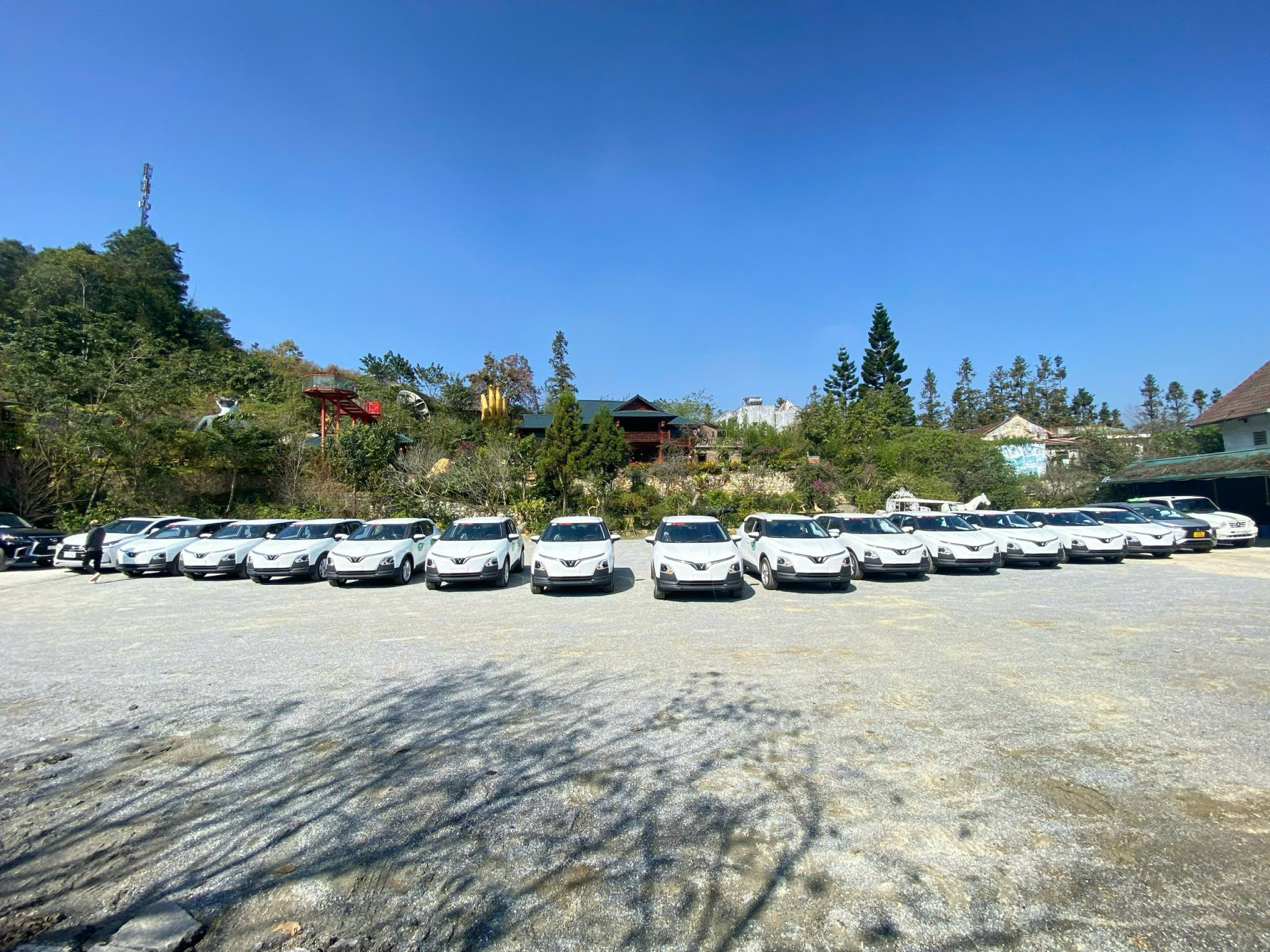 H&atilde;ng taxi Xanh đầu ti&ecirc;n tại Sa Pa- Ảnh 2.