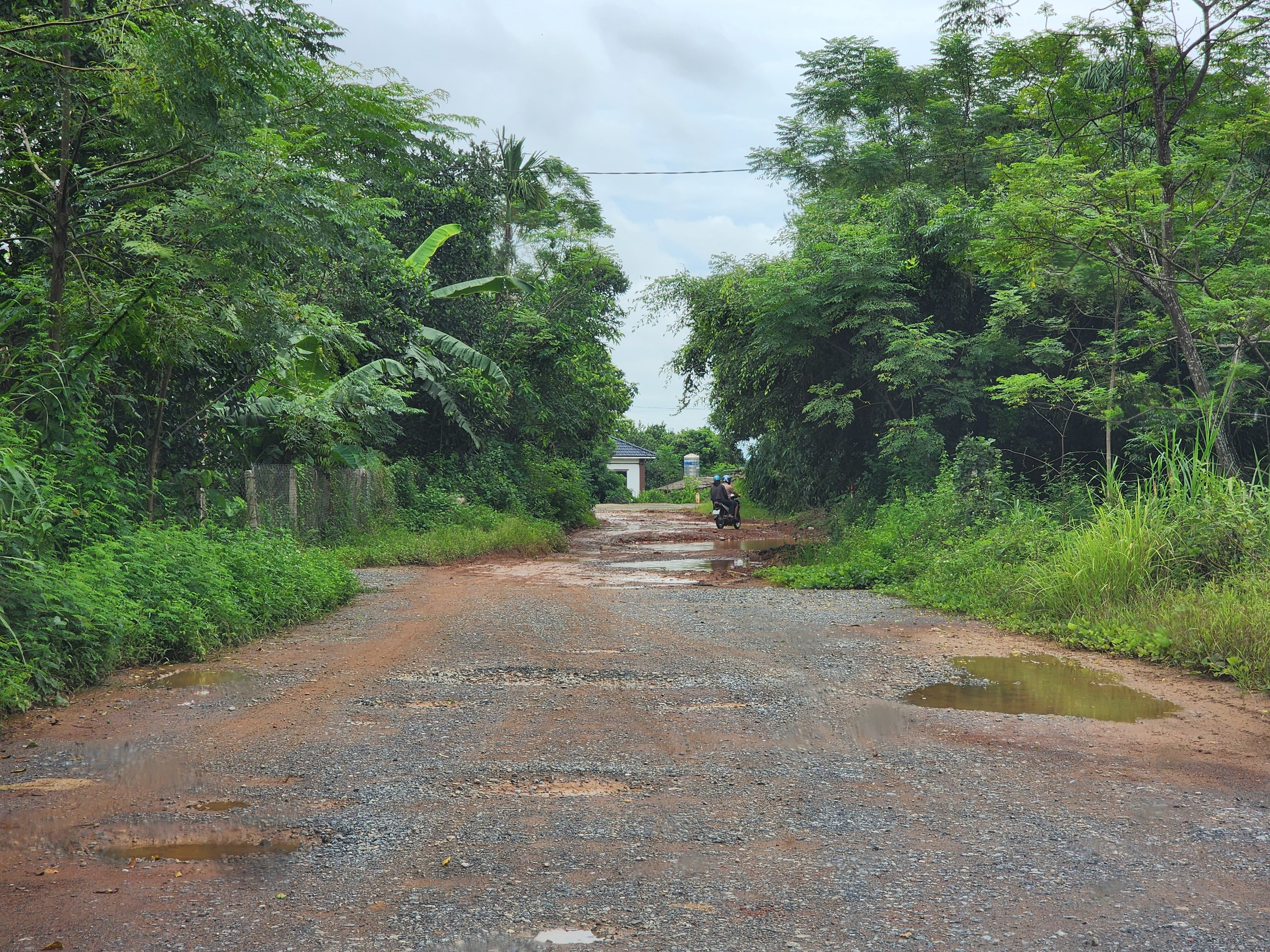 Ph&uacute; Thọ: Người đi đường khốn khổ v&igrave; dự &aacute;n trăm tỷ dở dang- Ảnh 1.