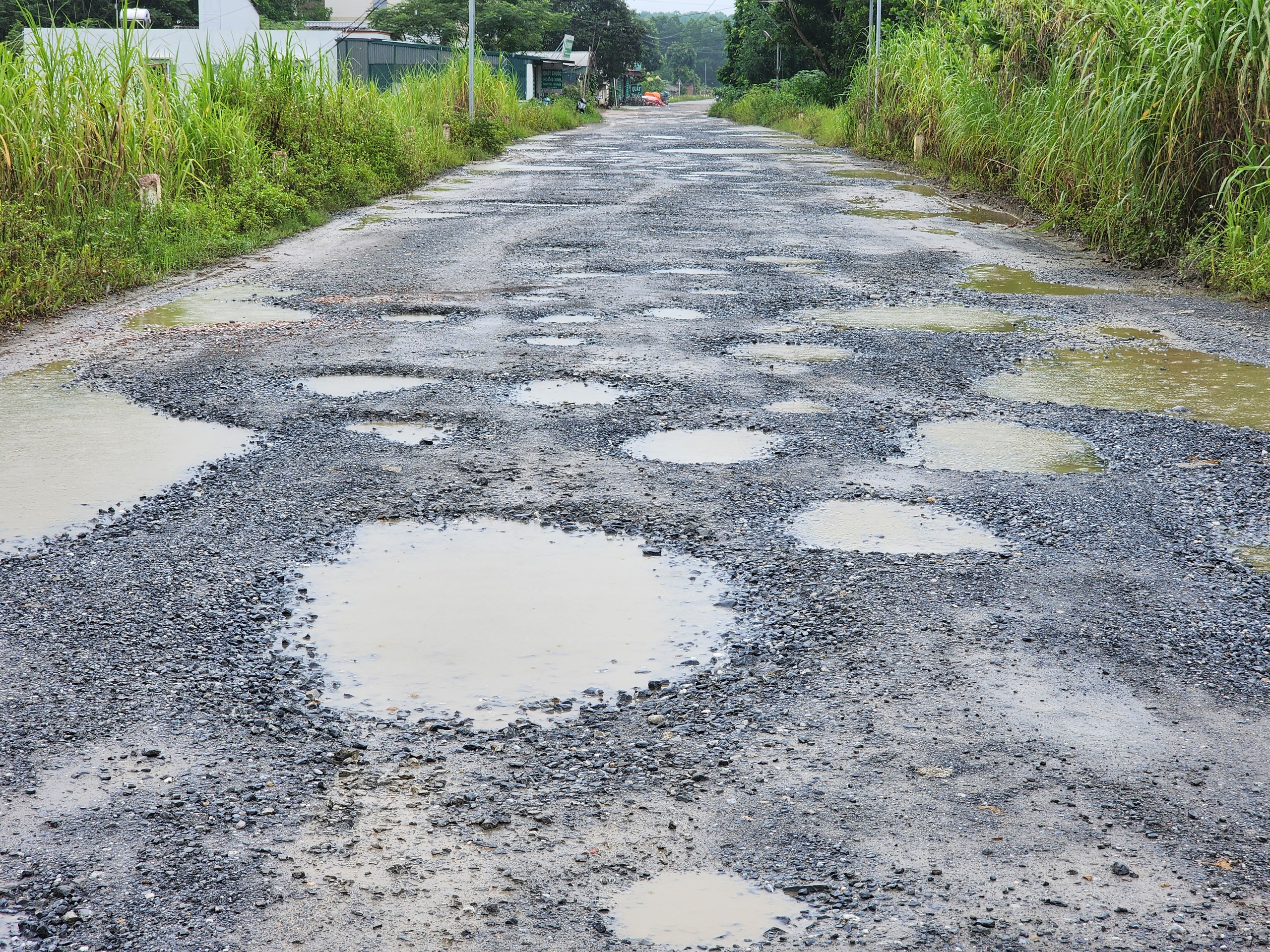 Ph&uacute; Thọ: Người đi đường khốn khổ v&igrave; dự &aacute;n trăm tỷ dở dang- Ảnh 4.
