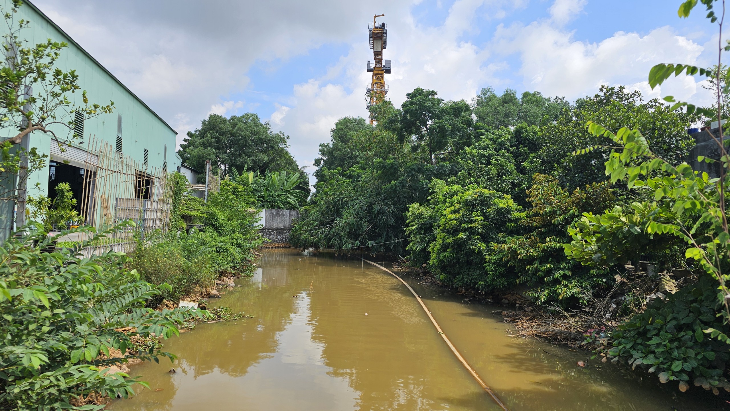 Hải Ph&ograve;ng: K&ecirc;nh Cẩm Văn II đổi m&agrave;u lạ, ch&iacute;nh quyền v&agrave;o cuộc- Ảnh 3.
