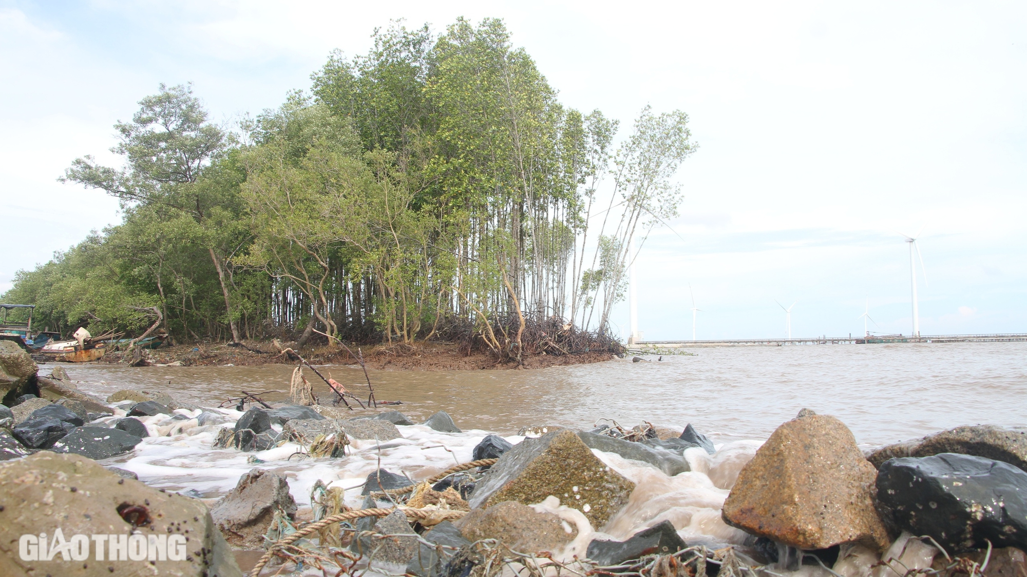 Chủ tịch Bạc Li&ecirc;u chỉ đạo xử l&yacute; khẩn cấp sạt lở đ&ecirc; biển Đ&ocirc;ng- Ảnh 2.