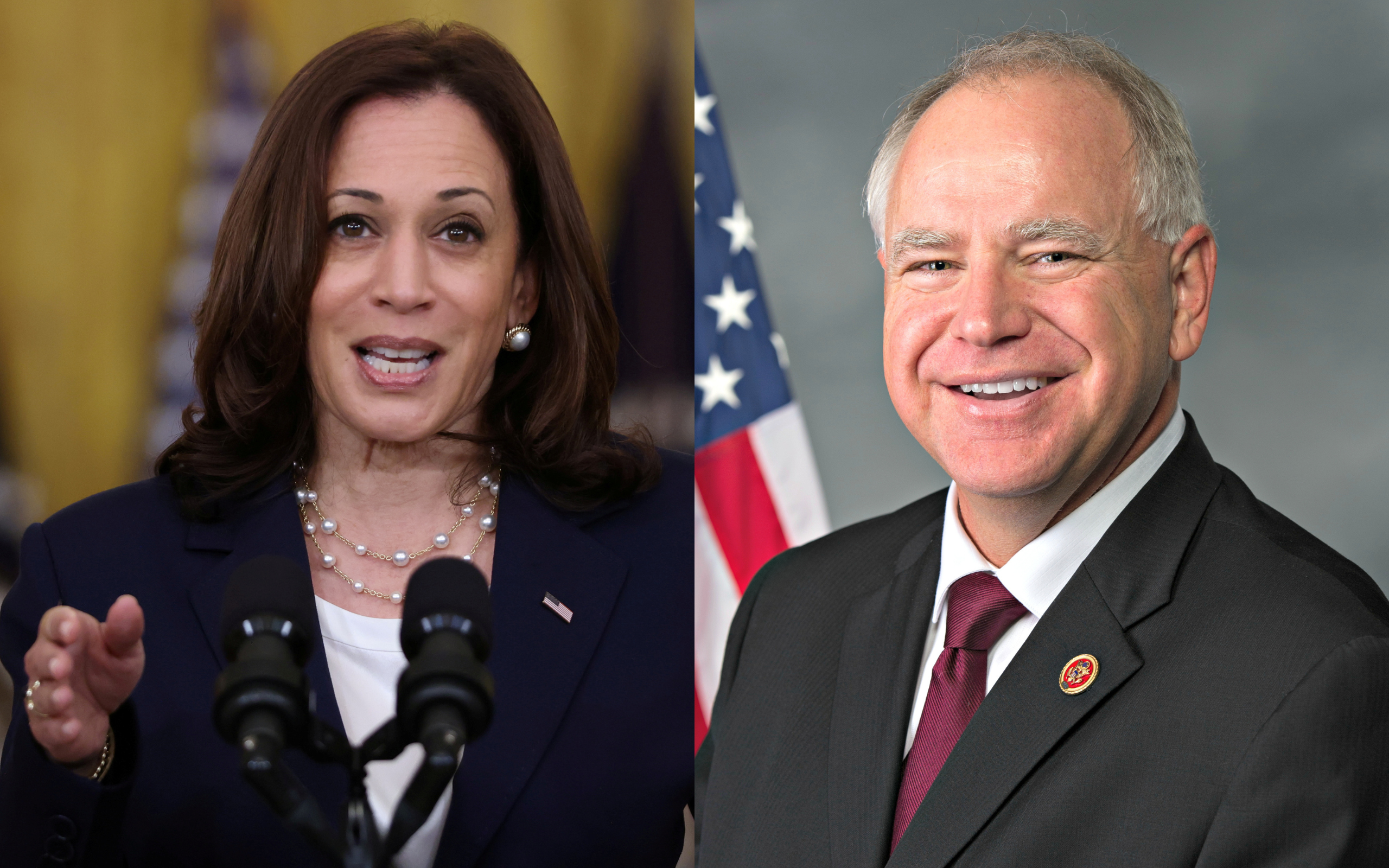 B&agrave; Harris chốt người c&ugrave;ng tranh cử Tổng thống Mỹ- Ảnh 1.