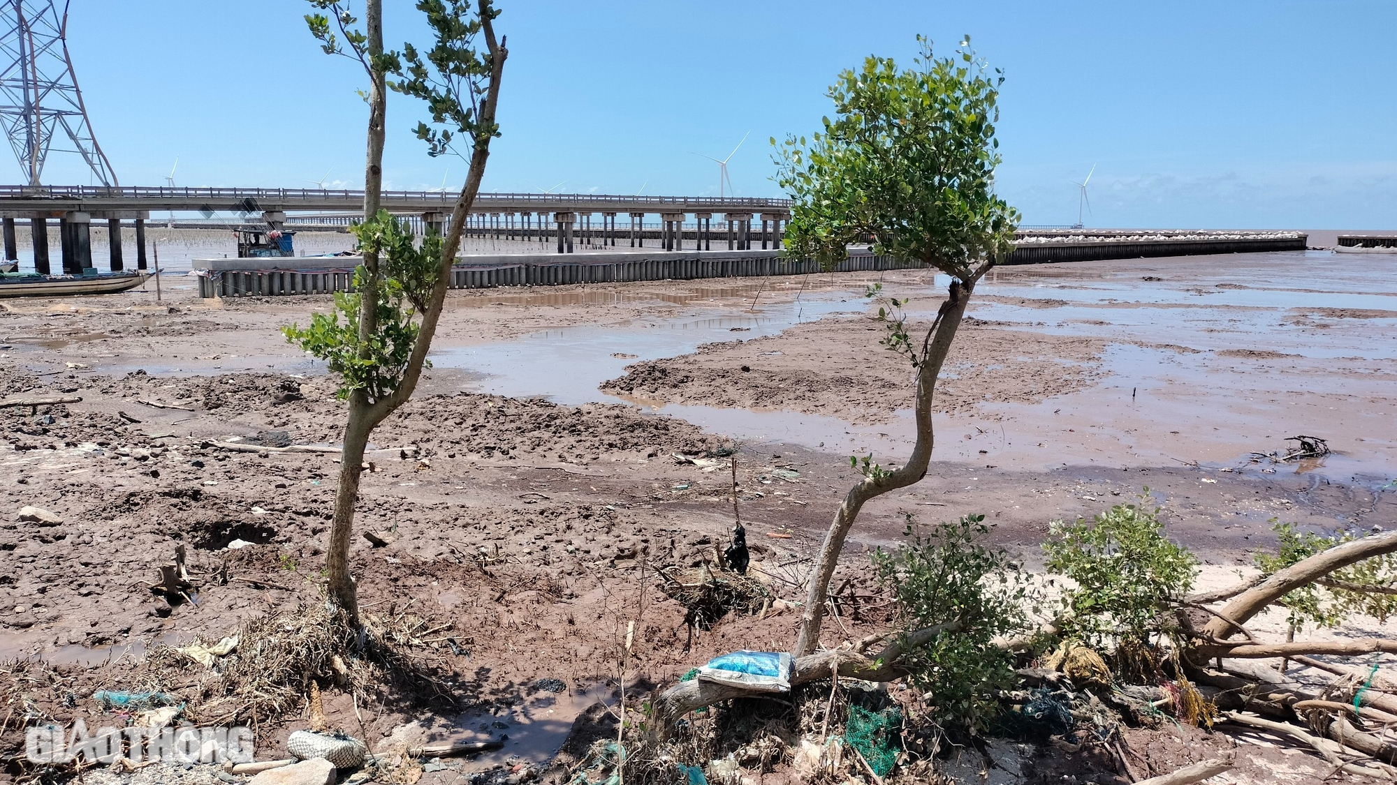 Bạc Li&ecirc;u c&ocirc;ng bố t&igrave;nh huống khẩn cấp sạt lở đ&ecirc; biển Đ&ocirc;ng- Ảnh 2.