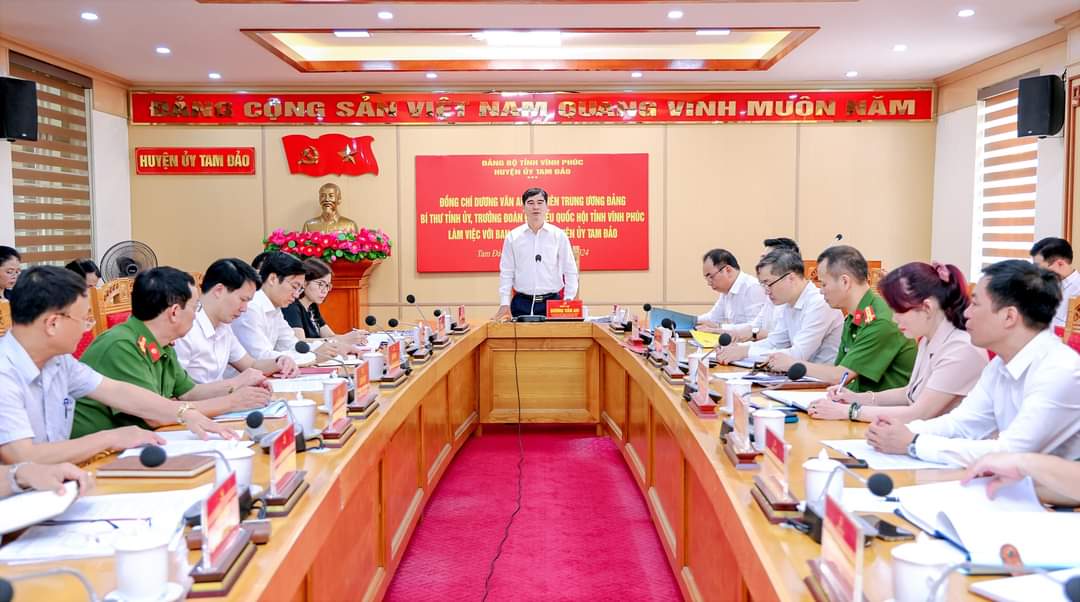 Vĩnh Ph&uacute;c cần x&acirc;y dựng phong c&aacute;ch kiến tr&uacute;c, m&agrave;u sắc ri&ecirc;ng biệt cho Tam Đảo- Ảnh 1.