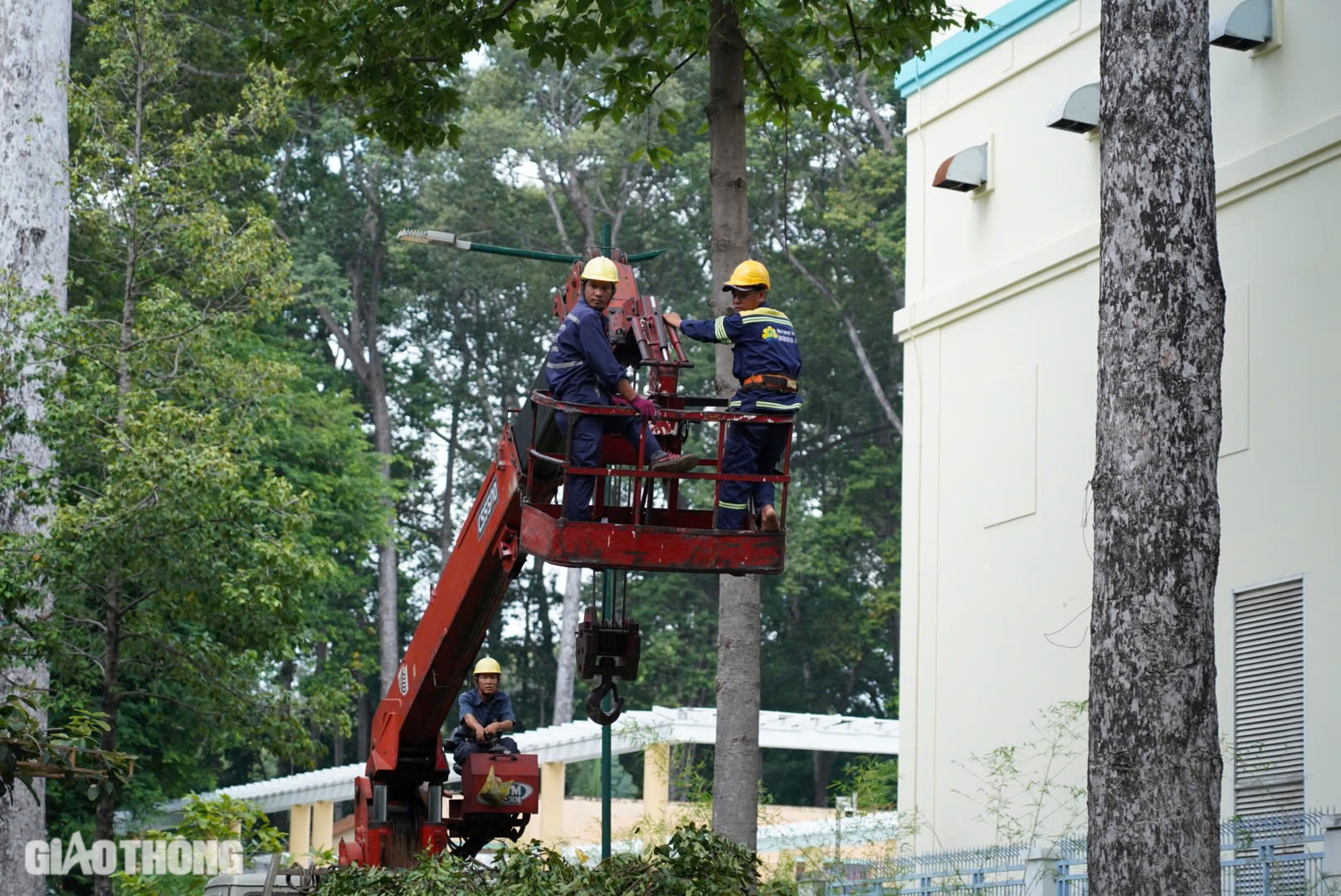 &Aacute;m ảnh vụ nh&aacute;nh c&acirc;y rơi đ&egrave; chết người ở c&ocirc;ng vi&ecirc;n Tao Đ&agrave;n- Ảnh 5.