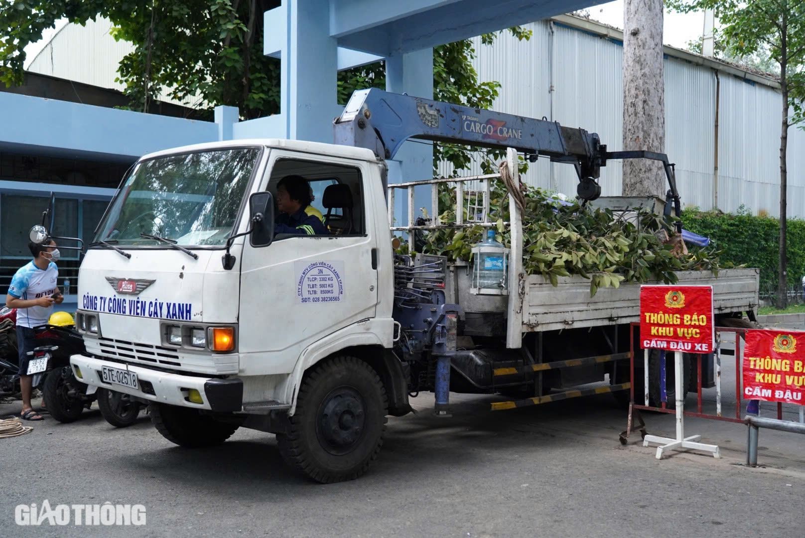 &Aacute;m ảnh vụ nh&aacute;nh c&acirc;y rơi đ&egrave; chết người ở c&ocirc;ng vi&ecirc;n Tao Đ&agrave;n- Ảnh 7.