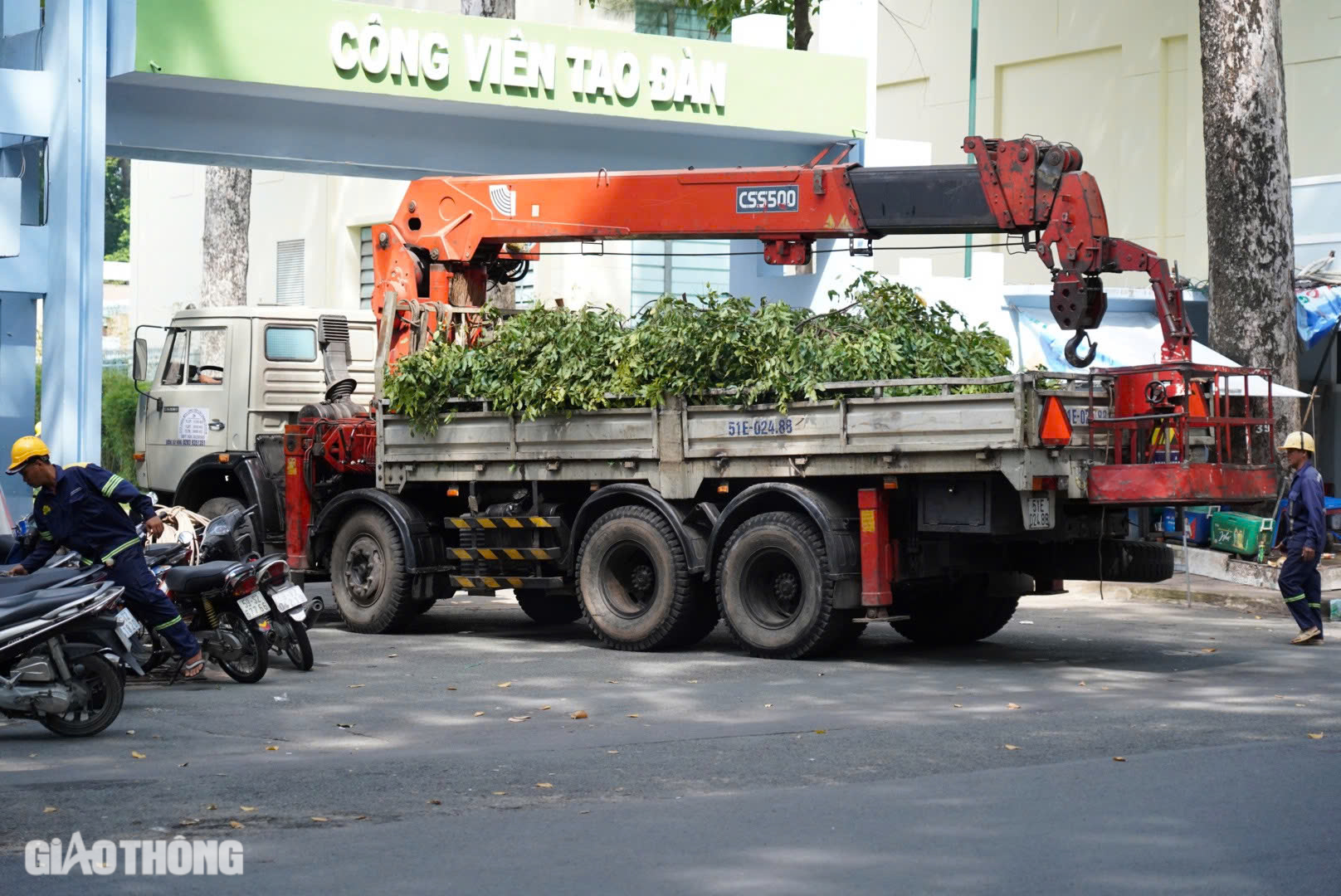 &Aacute;m ảnh vụ nh&aacute;nh c&acirc;y rơi đ&egrave; chết người ở c&ocirc;ng vi&ecirc;n Tao Đ&agrave;n- Ảnh 8.