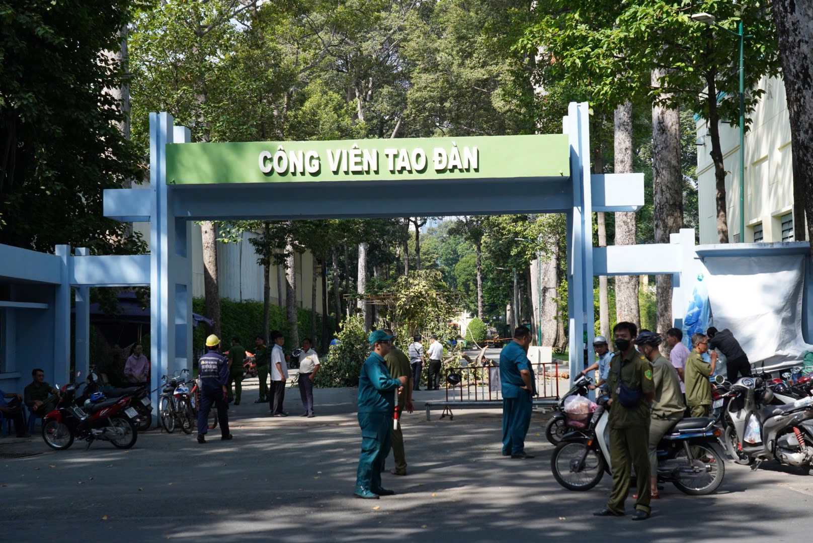 &Aacute;m ảnh vụ nh&aacute;nh c&acirc;y rơi đ&egrave; chết người ở c&ocirc;ng vi&ecirc;n Tao Đ&agrave;n- Ảnh 1.