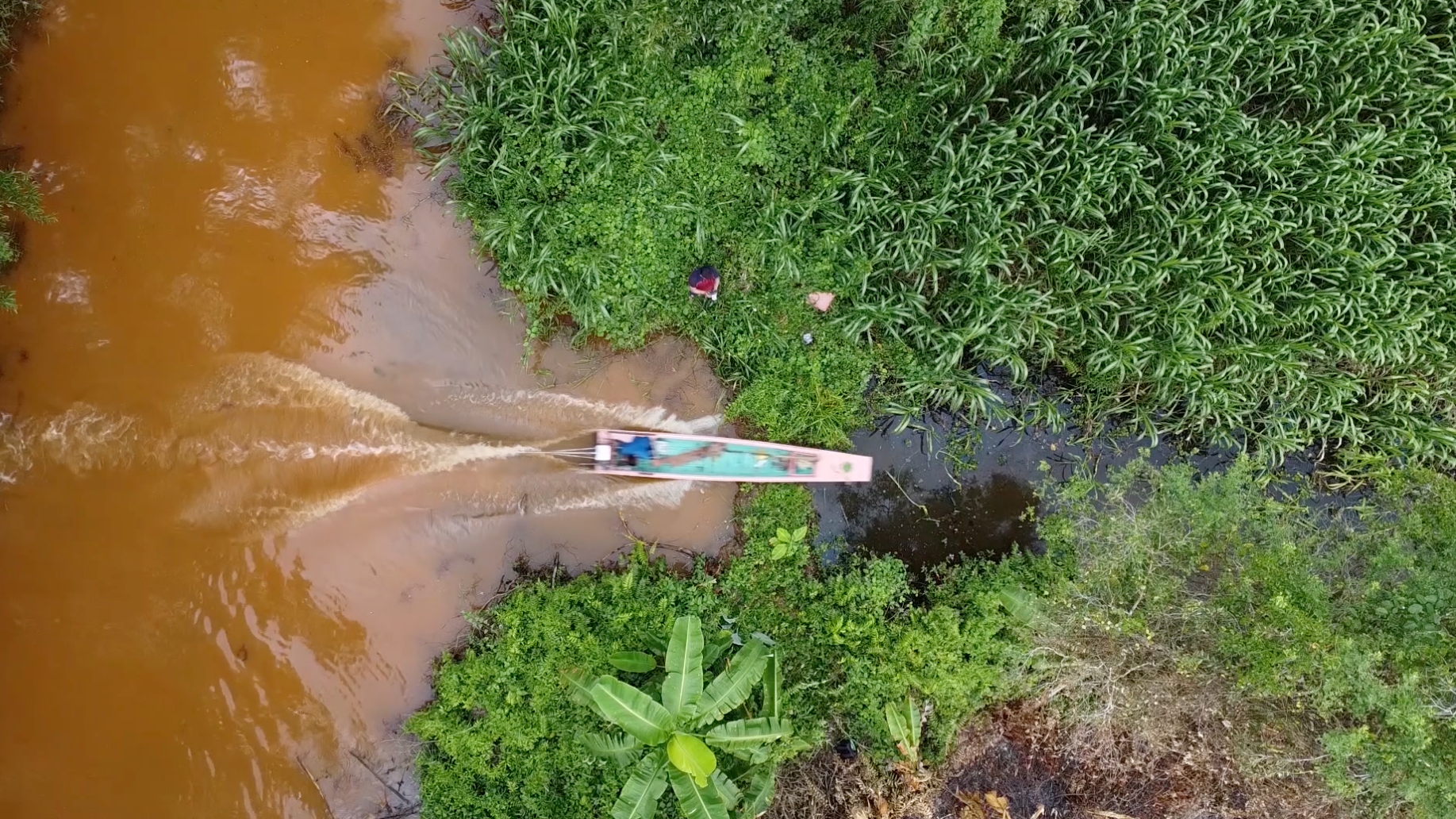 Về C&agrave; Mau xem vỏ l&atilde;i bay qua đập- Ảnh 1.