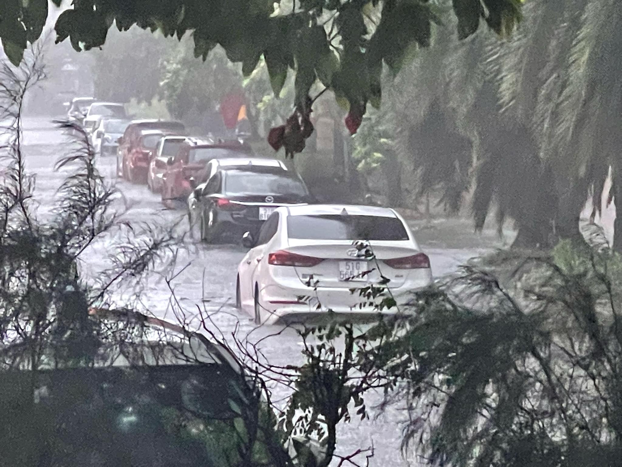 TP.HCM: Mưa lớn dịp lễ 2/9, CSGT xuống đường đẩy xe gi&uacute;p người d&acirc;n- Ảnh 2.