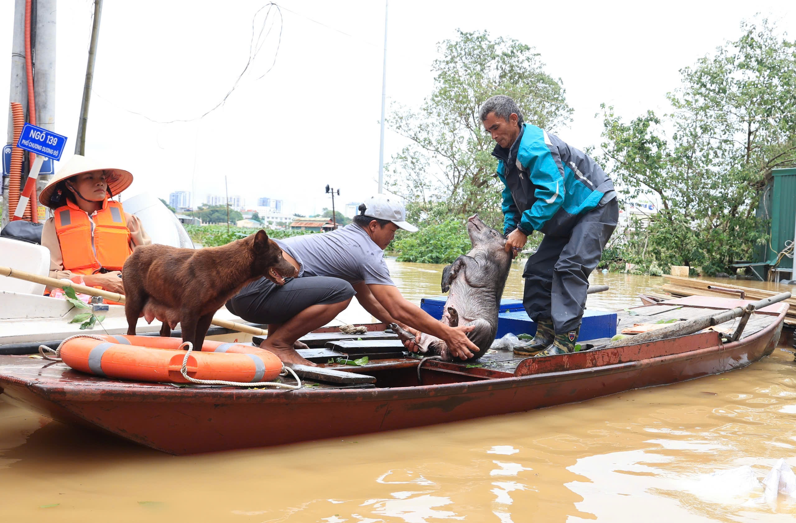 Toàn cảnh cầu Chương Dương, Long Biên ngày nước sông Hồng dâng cao- Ảnh 14. Toàn cảnh cầu Chương Dương, Long Biên ngày nước sông Hồng dâng cao- Ảnh 14.