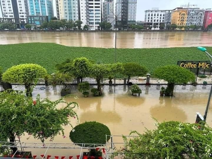 H&agrave;ng ngh&igrave;n người ở H&agrave; Nam gia cố đ&ecirc;, chạy lũ cả ng&agrave;y lẫn đ&ecirc;m- Ảnh 20.