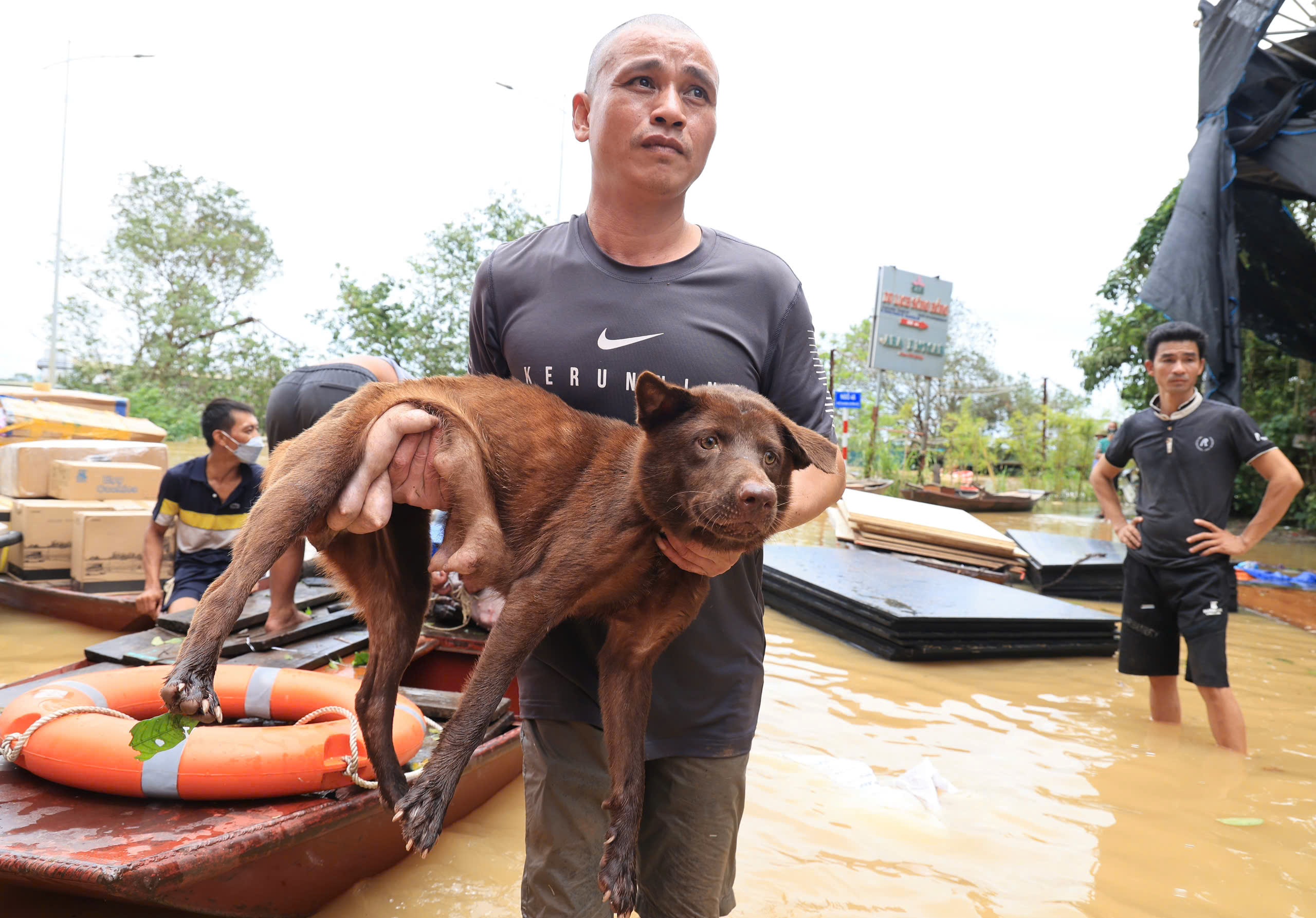Toàn cảnh cầu Chương Dương, Long Biên ngày nước sông Hồng dâng cao- Ảnh 15. Toàn cảnh cầu Chương Dương, Long Biên ngày nước sông Hồng dâng cao- Ảnh 15.