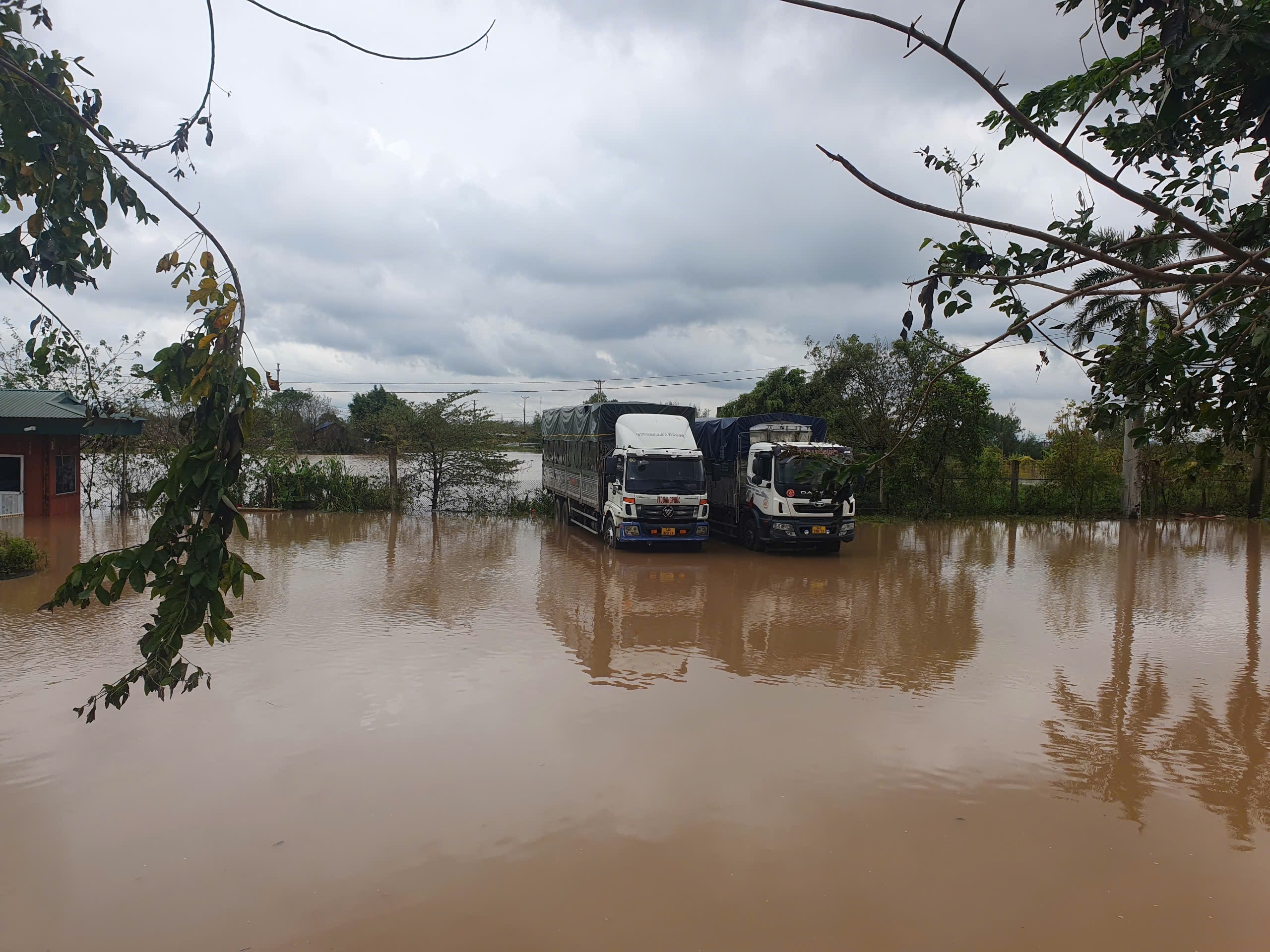 Nước s&ocirc;ng Th&aacute;i B&igrave;nh cao nhất 16 năm qua, Hải Dương ph&aacute;t lệnh b&aacute;o động II- Ảnh 1.
