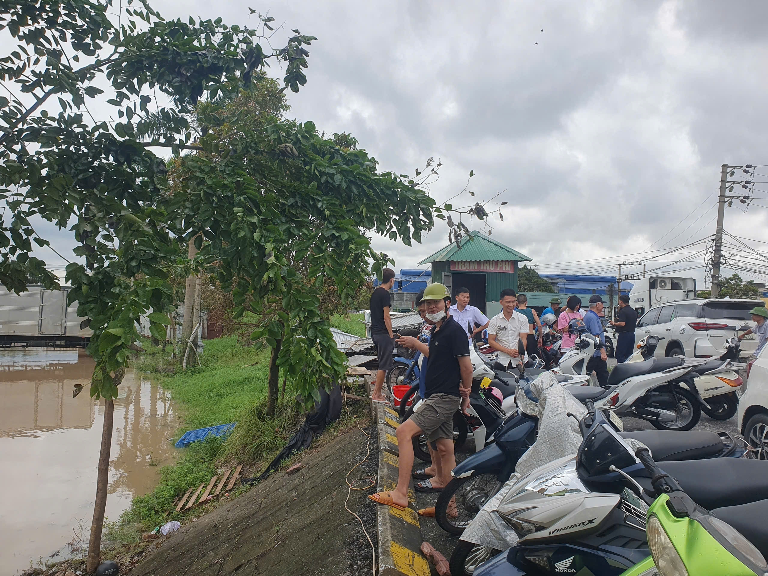 Nước s&ocirc;ng Th&aacute;i B&igrave;nh cao nhất 16 năm qua, Hải Dương ph&aacute;t lệnh b&aacute;o động II- Ảnh 3.