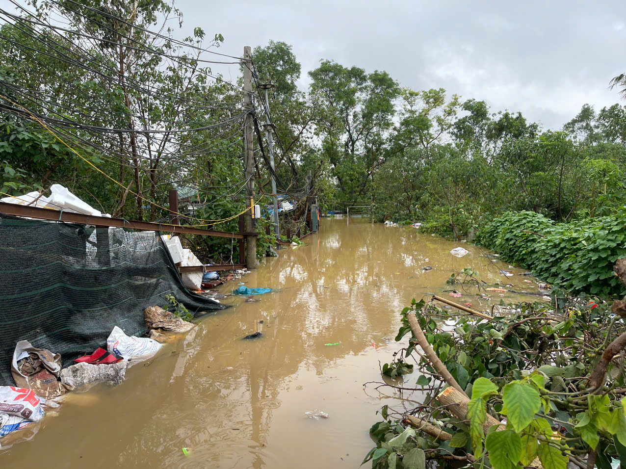 Nước s&ocirc;ng Hồng d&acirc;ng cao, người d&acirc;n ven s&ocirc;ng ở H&agrave; Nội gấp r&uacute;t chuyển đồ đạc- Ảnh 10.