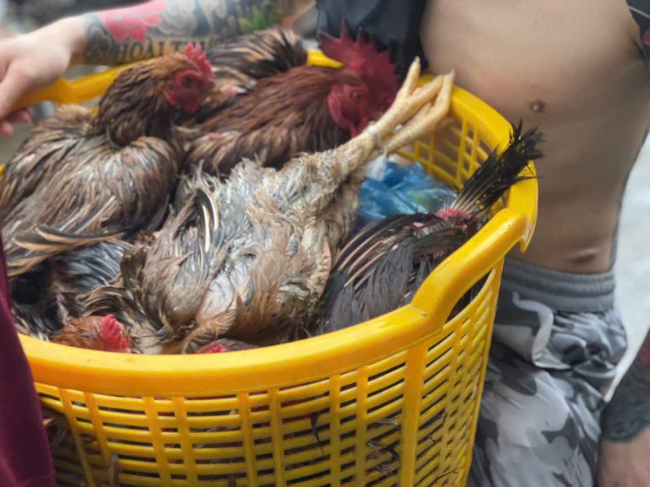 Nước s&ocirc;ng Hồng d&acirc;ng cao, người d&acirc;n ven s&ocirc;ng ở H&agrave; Nội gấp r&uacute;t chuyển đồ đạc- Ảnh 13.