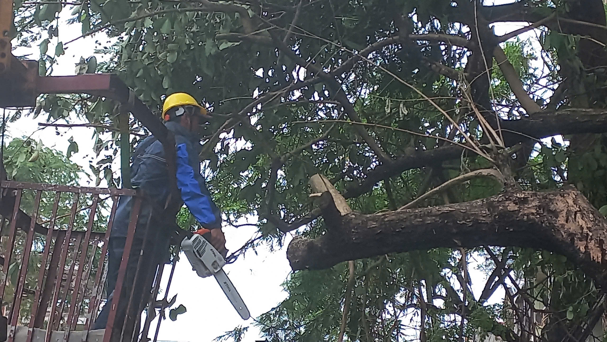 Thanh ni&ecirc;n t&igrave;nh nguyện khắp nơi hỗ trợ Hải Ph&ograve;ng khắc phục hậu quả b&atilde;o số 3- Ảnh 12.