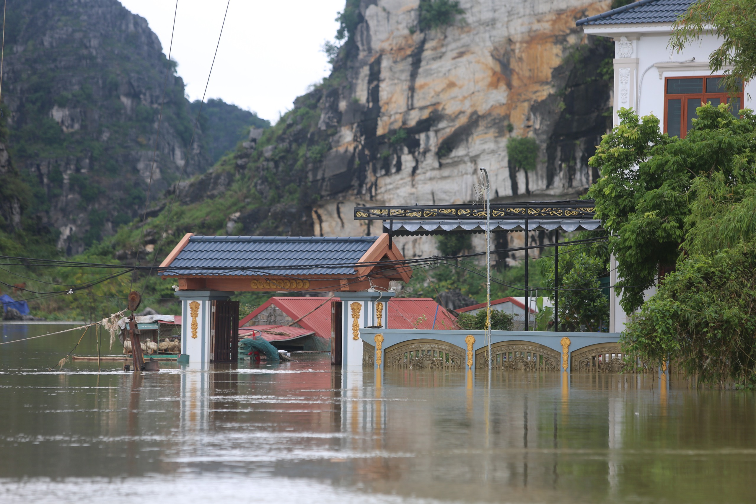 Ninh Bình: 700 hộ bị cô lập, người dân lên mái nhà nhìn nước dâng- Ảnh 11. Ninh Bình: 700 hộ bị cô lập, người dân lên mái nhà nhìn nước dâng- Ảnh 11.
