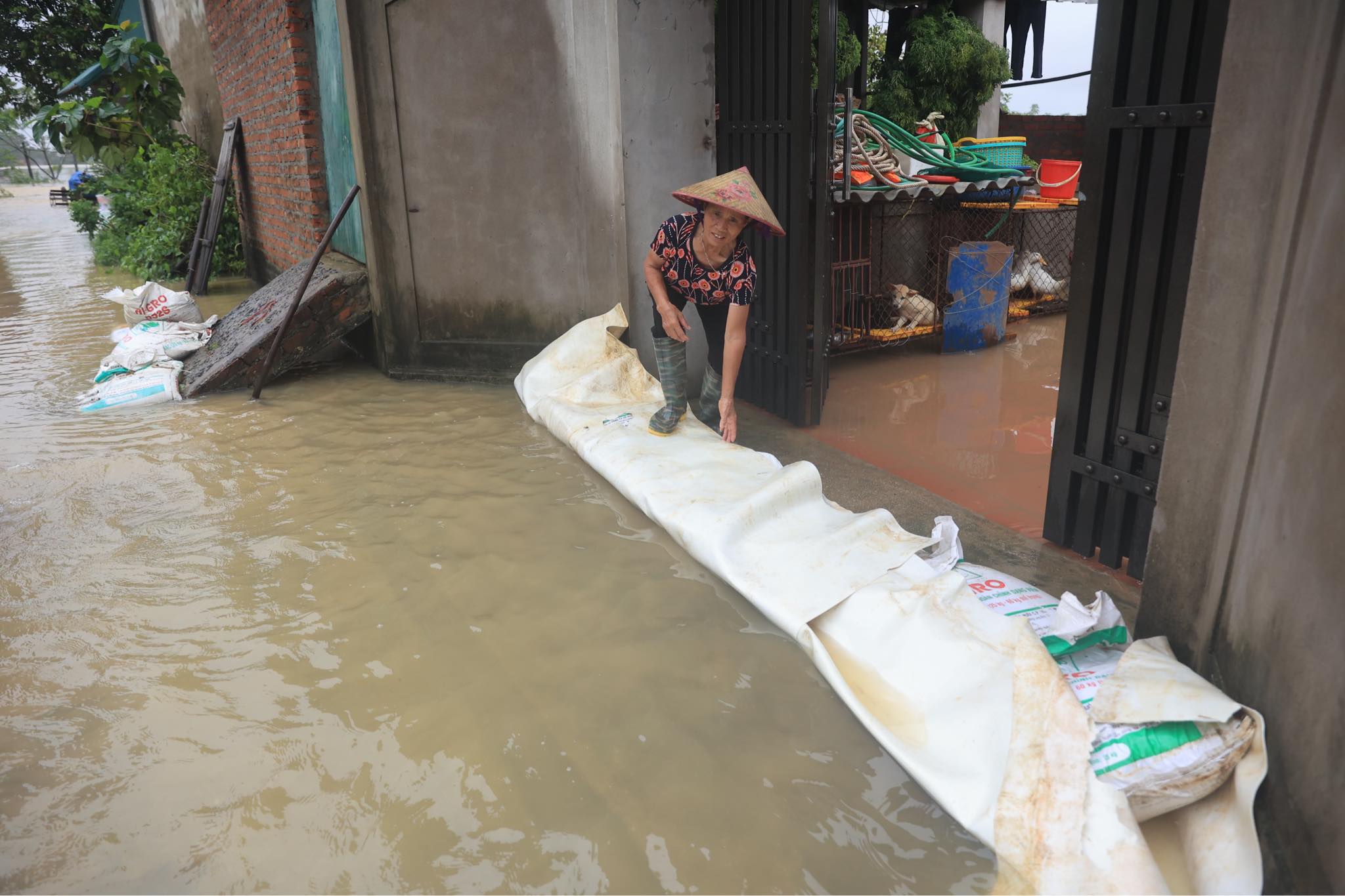Nước tr&agrave;n đ&ecirc; s&ocirc;ng B&ugrave;i, nhiều nh&agrave; ở Chương Mỹ ngập ngang m&aacute;i- Ảnh 9.