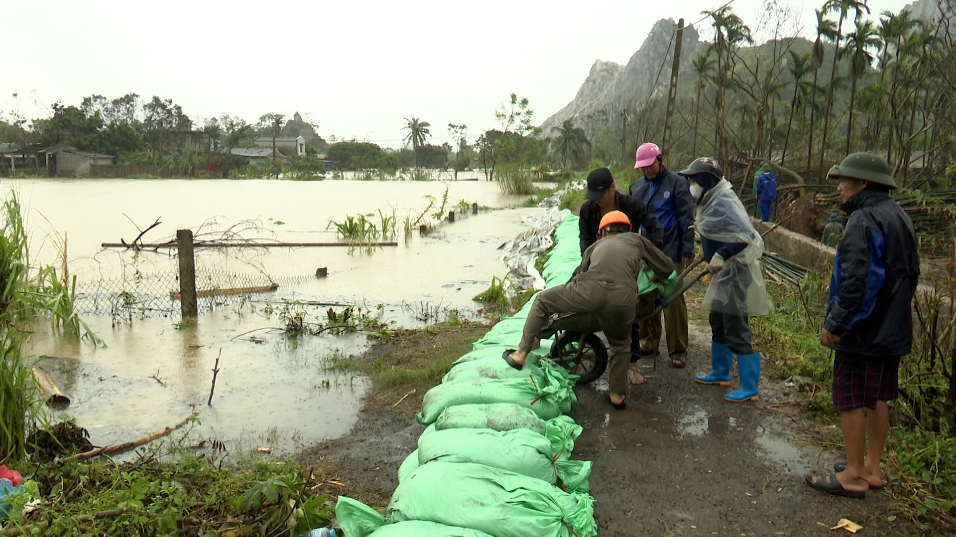 Hải Dương: Ưu ti&ecirc;n bảo vệ con người trong mưa lũ- Ảnh 1.
