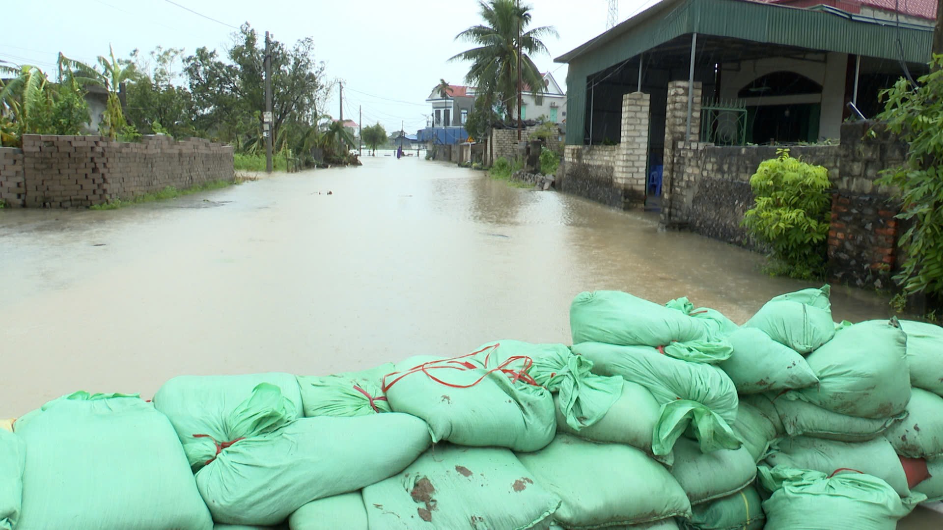 Hải Dương: Ưu ti&ecirc;n bảo vệ con người trong mưa lũ- Ảnh 3.