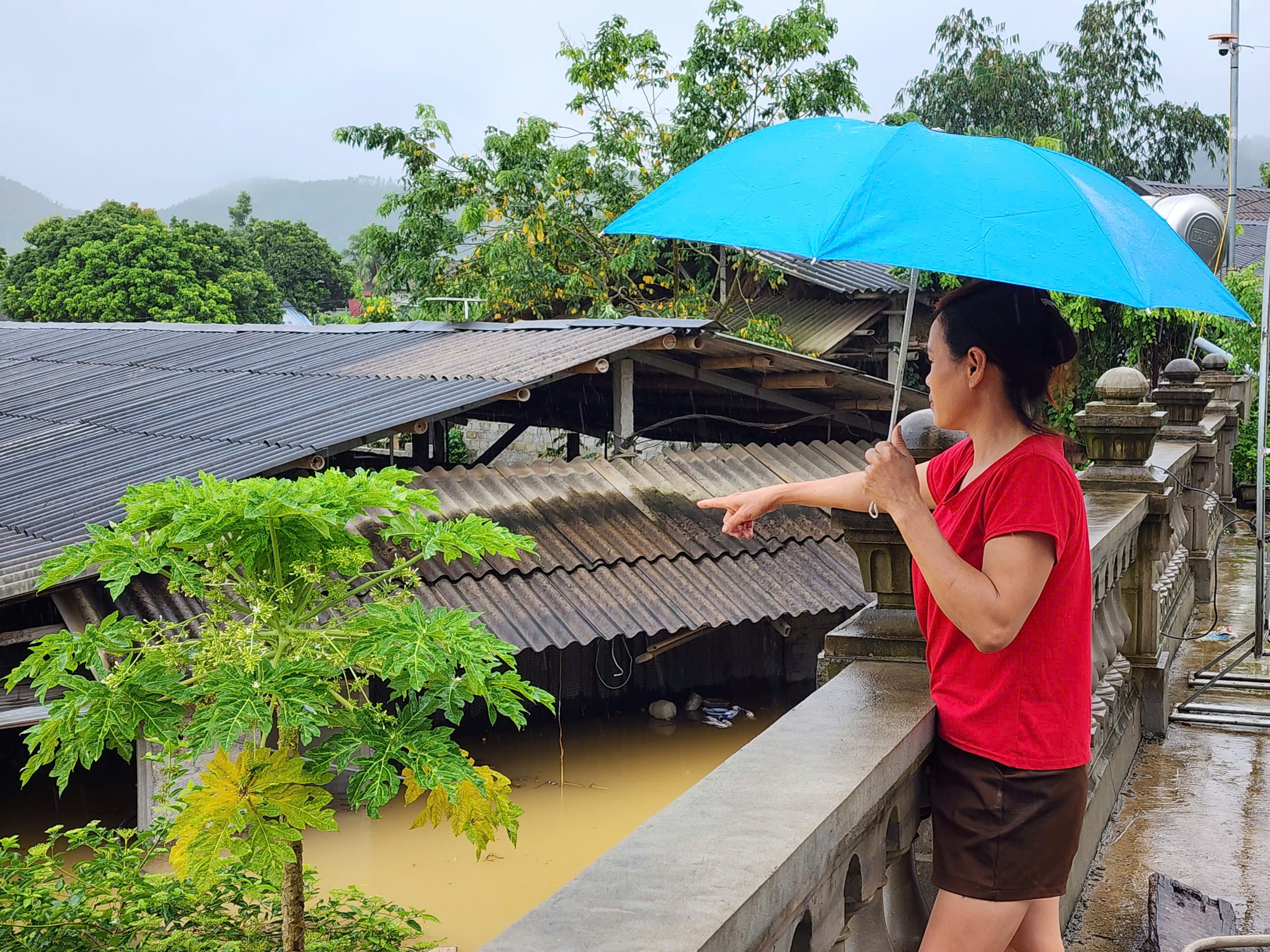 Nước l&ecirc;n cao, chưa thể v&aacute; đoạn đ&ecirc; s&ocirc;ng L&ocirc; nối Ph&uacute; Thọ v&agrave; Tuy&ecirc;n Quang- Ảnh 5.