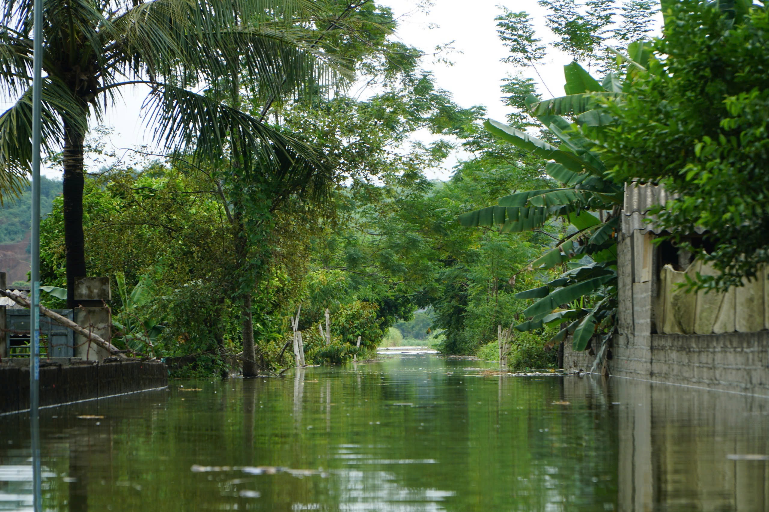 Lũ tr&ecirc;n s&ocirc;ng Bưởi d&acirc;ng cao, hơn 200 nh&agrave; d&acirc;n ở Thanh H&oacute;a bị ngập- Ảnh 5.