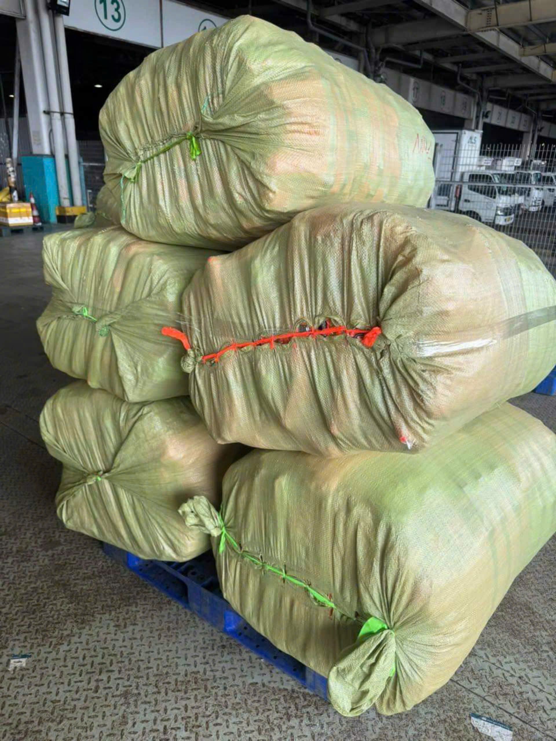 Tấm l&ograve;ng người d&acirc;n TP.HCM hướng về miền Bắc- Ảnh 4.