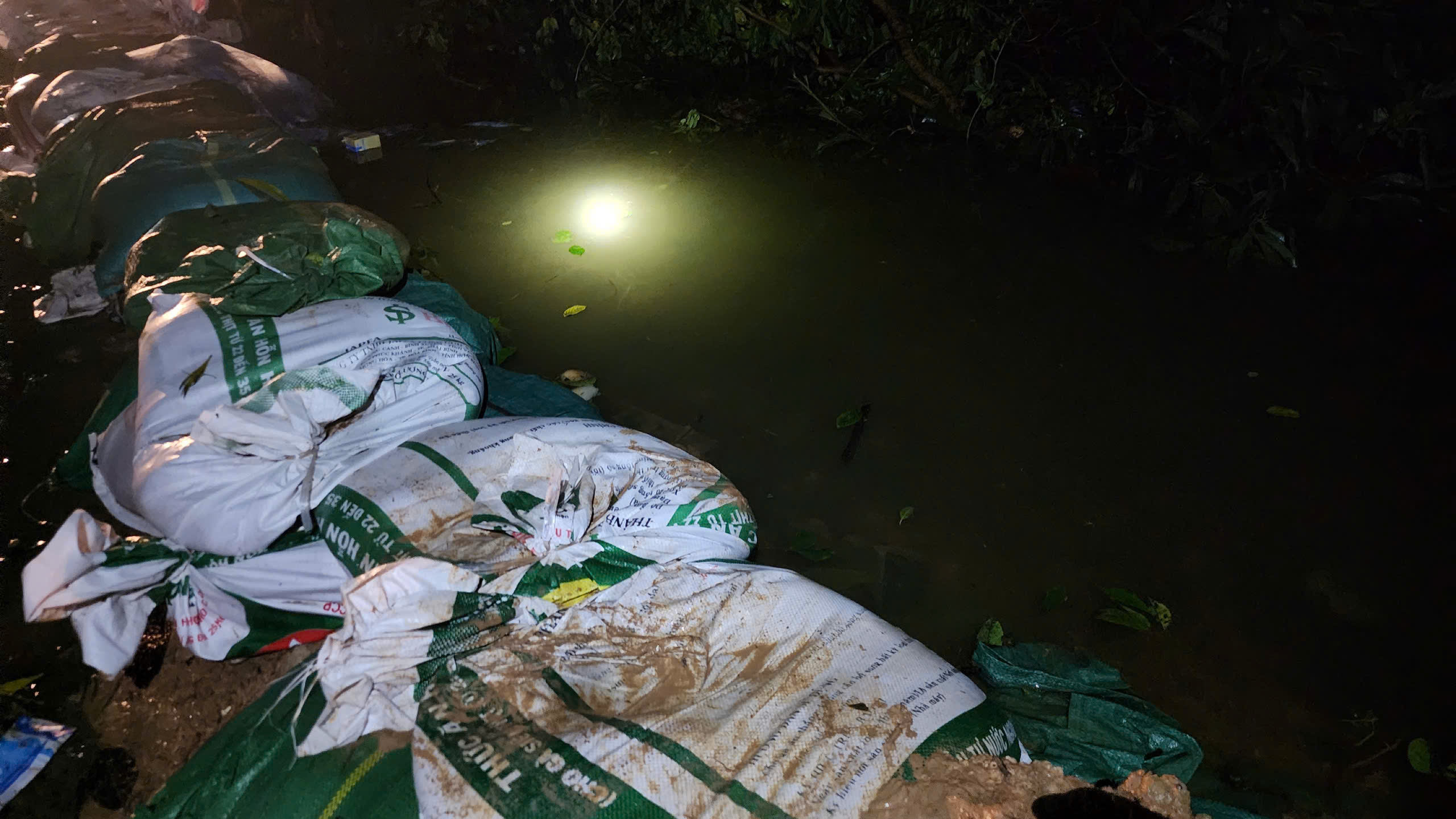 Nước s&ocirc;ng C&agrave; Lồ tr&agrave;n bờ bao, th&ocirc;n gần 2.000 nh&acirc;n khẩu ở H&agrave; Nội ngập trong nước- Ảnh 4.