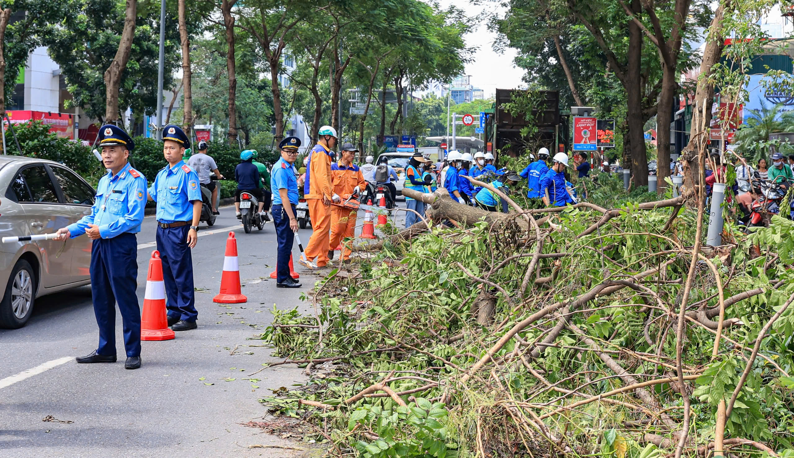 H&agrave; Nội tất bật thu dọn h&agrave;ng chục ngh&igrave;n c&acirc;y xanh g&atilde;y đổ sau b&atilde;o số 3- Ảnh 3.