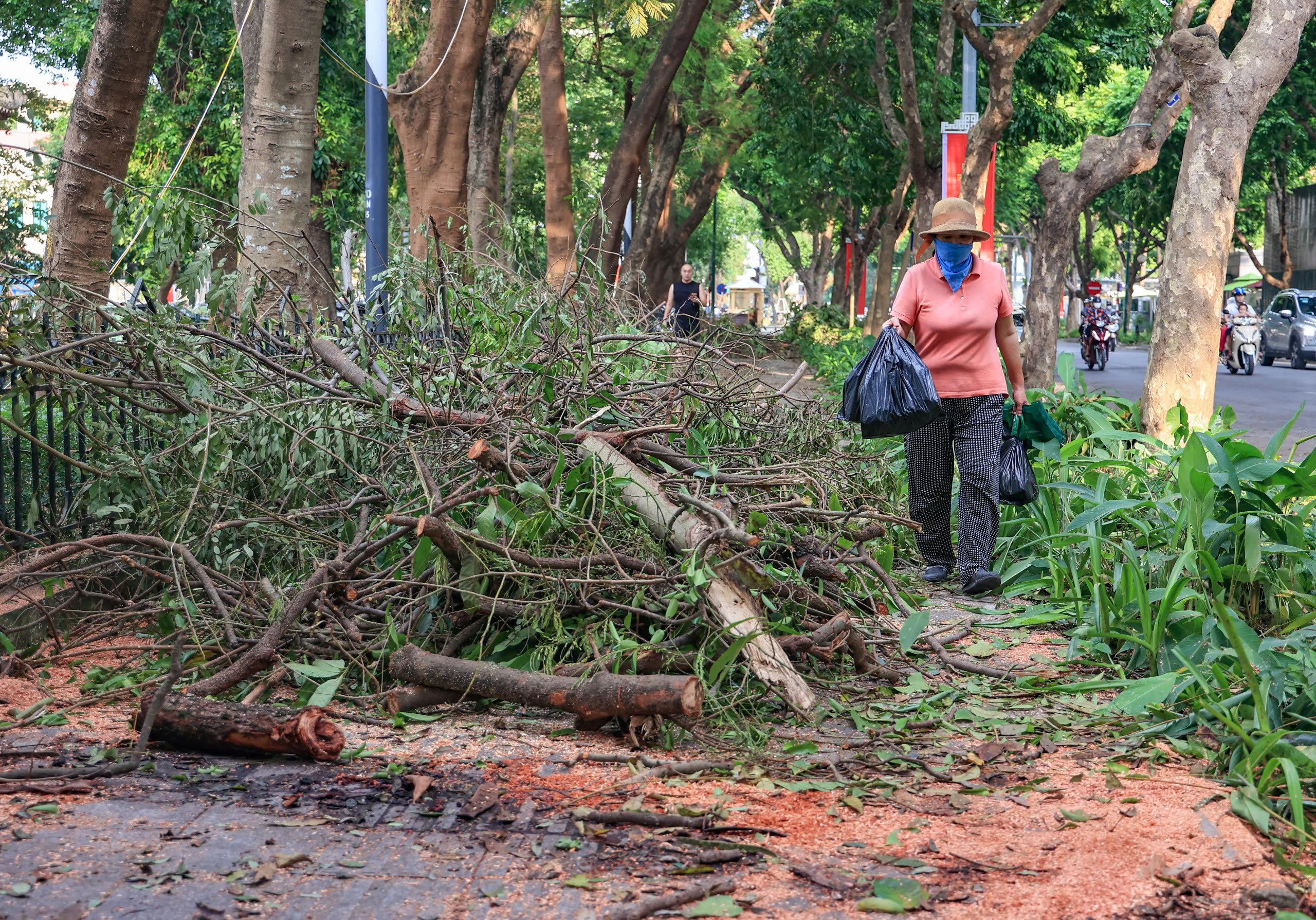 H&agrave; Nội tất bật thu dọn h&agrave;ng chục ngh&igrave;n c&acirc;y xanh g&atilde;y đổ sau b&atilde;o số 3- Ảnh 11.