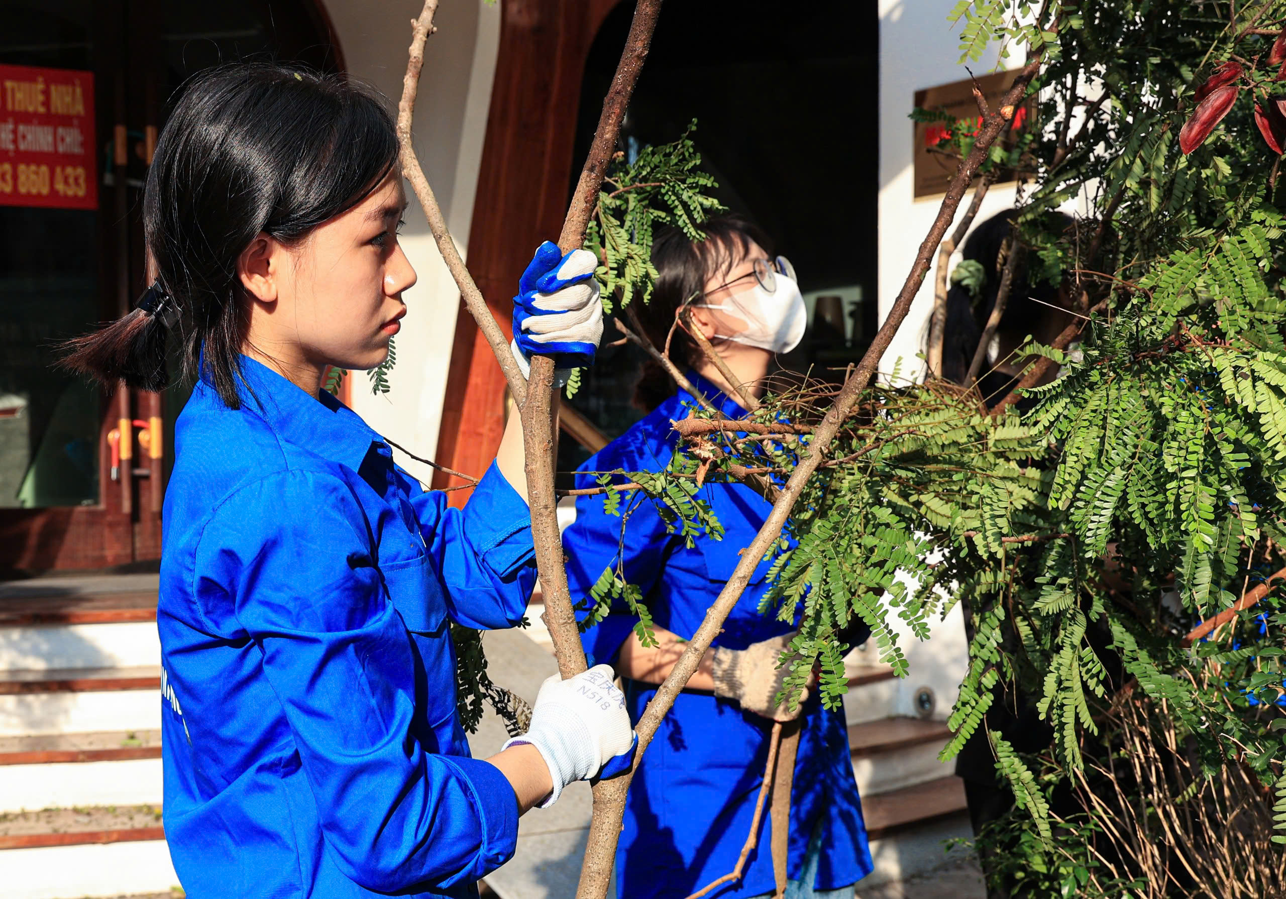 H&agrave; Nội tất bật thu dọn h&agrave;ng chục ngh&igrave;n c&acirc;y xanh g&atilde;y đổ sau b&atilde;o số 3- Ảnh 5.