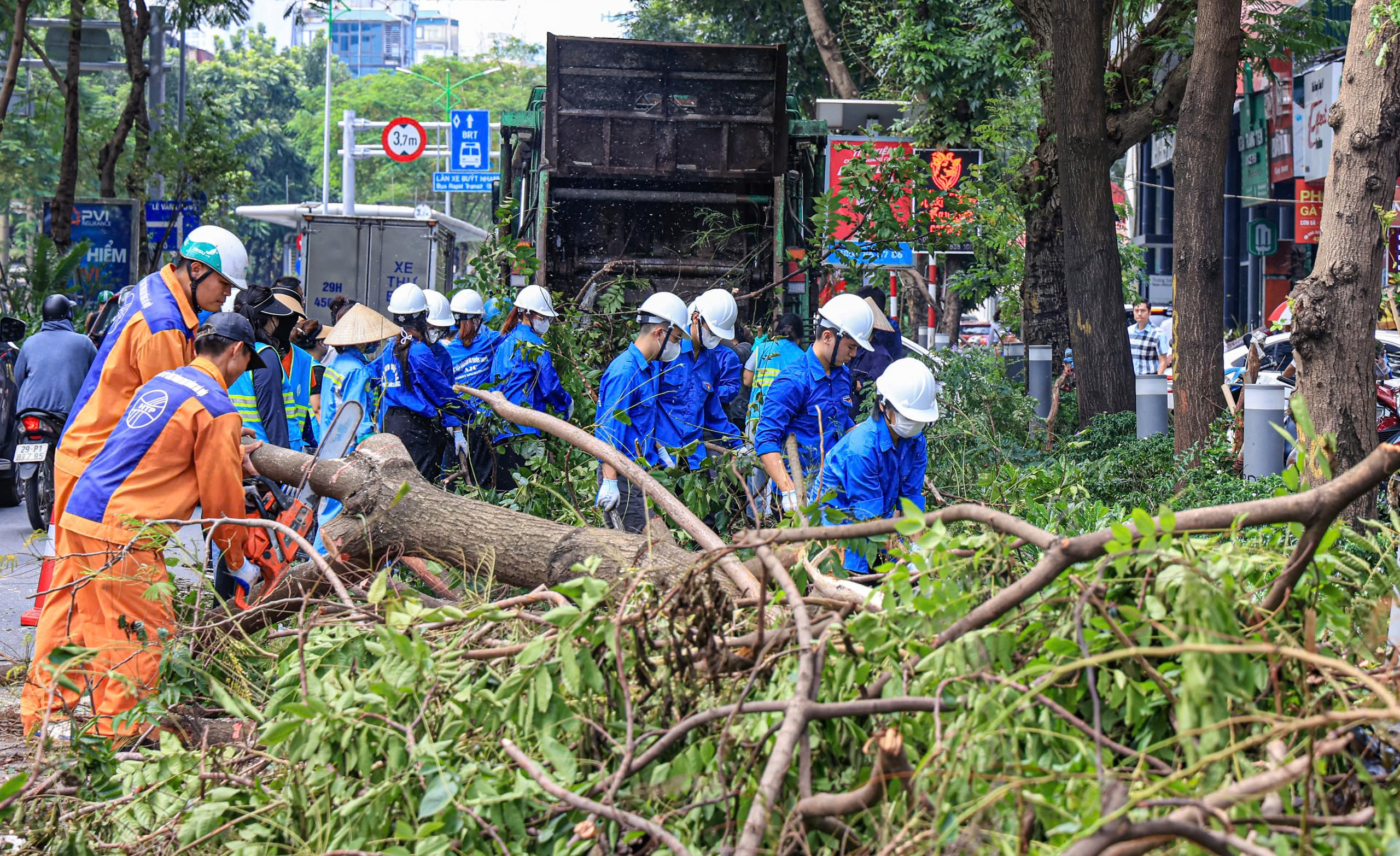H&agrave; Nội tất bật thu dọn h&agrave;ng chục ngh&igrave;n c&acirc;y xanh g&atilde;y đổ sau b&atilde;o số 3- Ảnh 4.