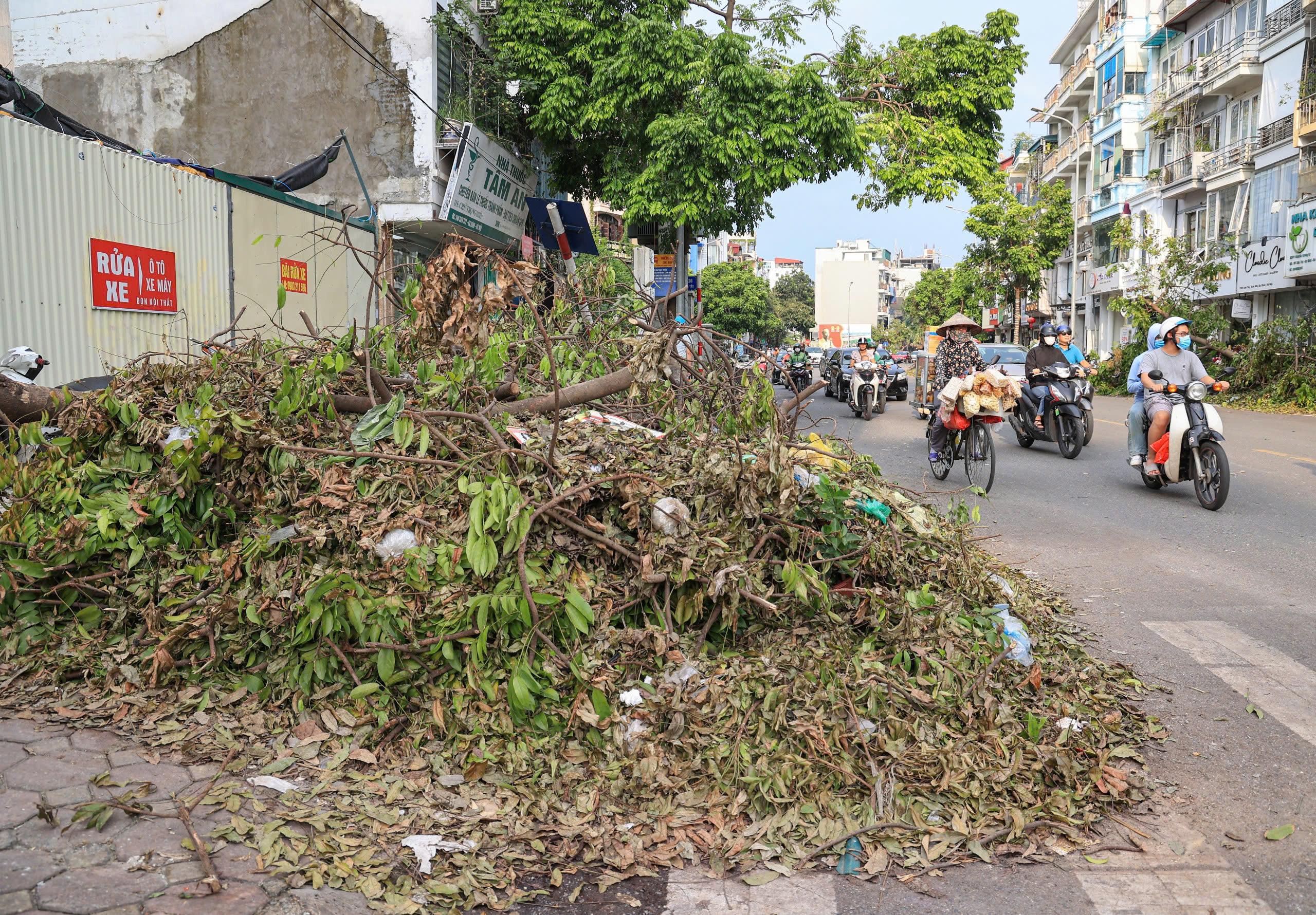 H&agrave; Nội tất bật thu dọn h&agrave;ng chục ngh&igrave;n c&acirc;y xanh g&atilde;y đổ sau b&atilde;o số 3- Ảnh 12.