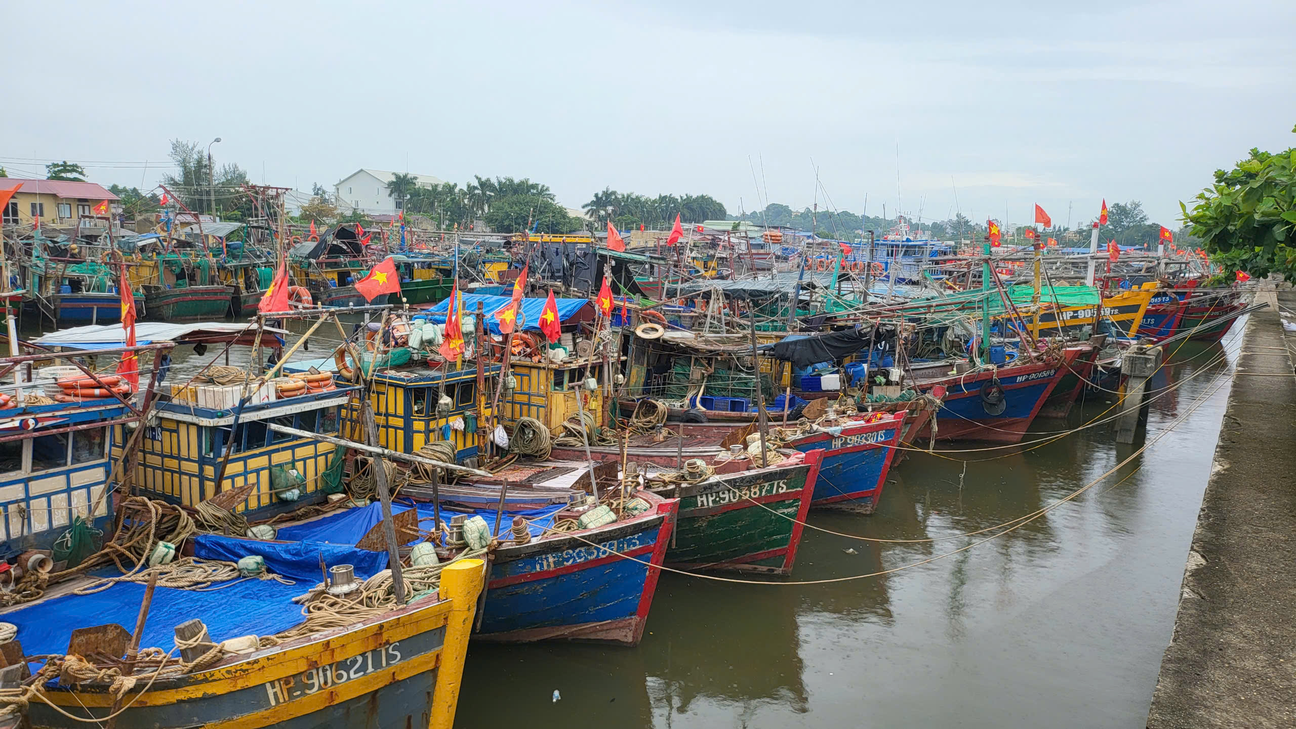 T&agrave;u c&aacute; Hải Ph&ograve;ng vươn khơi trở lại, gi&aacute; hải sản tươi sống tăng gấp đ&ocirc;i- Ảnh 1.