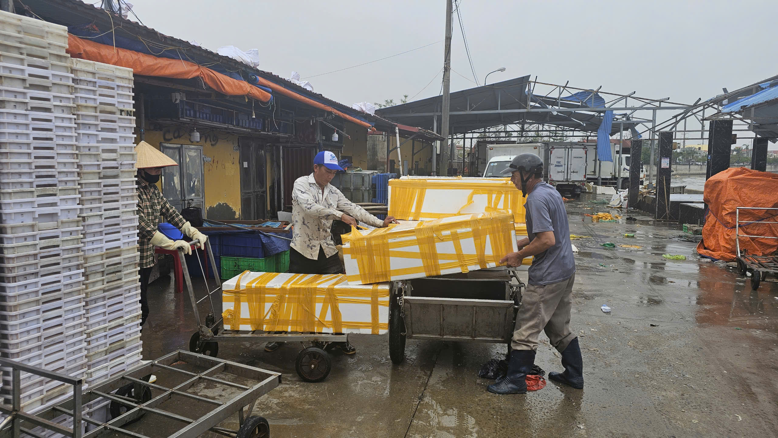 T&agrave;u c&aacute; Hải Ph&ograve;ng vươn khơi trở lại, gi&aacute; hải sản tươi sống tăng gấp đ&ocirc;i- Ảnh 3.