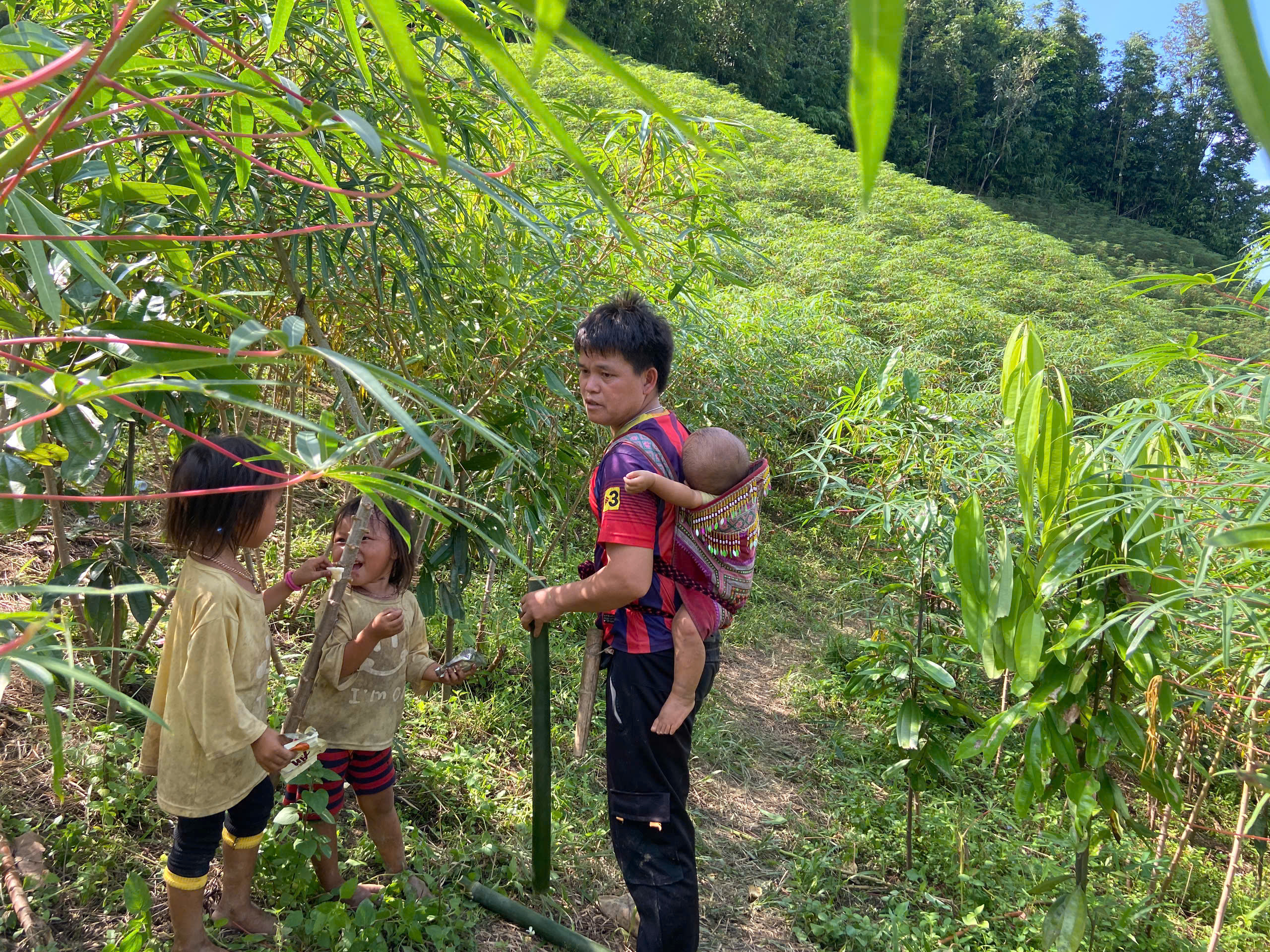 To&agrave;n cảnh cuộc sống 115 người d&acirc;n th&ocirc;n Kho V&agrave;ng tại nơi l&aacute;nh nạn tr&ecirc;n n&uacute;i- Ảnh 1.