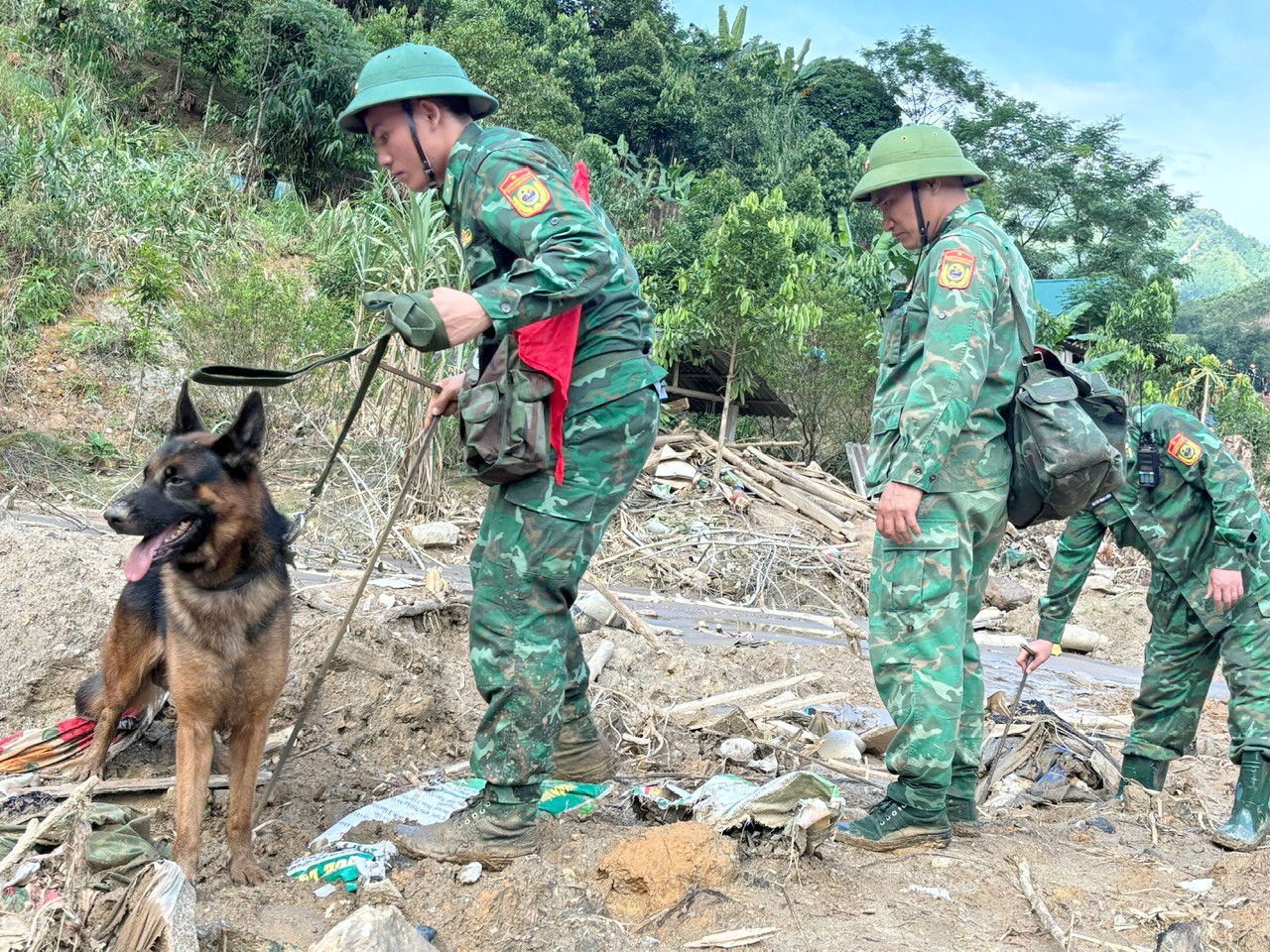 Lào Cai: Sử dụng chó nghiệp vụ tìm kiếm 7 người còn mất tích ở Nậm Tông- Ảnh 1. Lào Cai: Sử dụng chó nghiệp vụ tìm kiếm 7 người còn mất tích ở Nậm Tông- Ảnh 1.