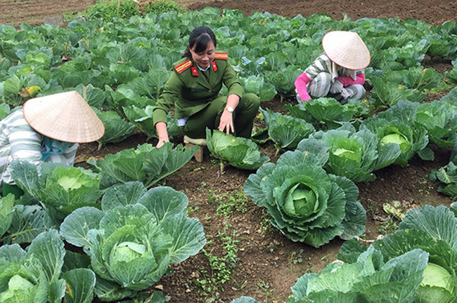 Đề xuất giam giữ phạm nh&acirc;n l&agrave; người chuyển giới, đồng t&iacute;nh ở buồng ri&ecirc;ng- Ảnh 1.